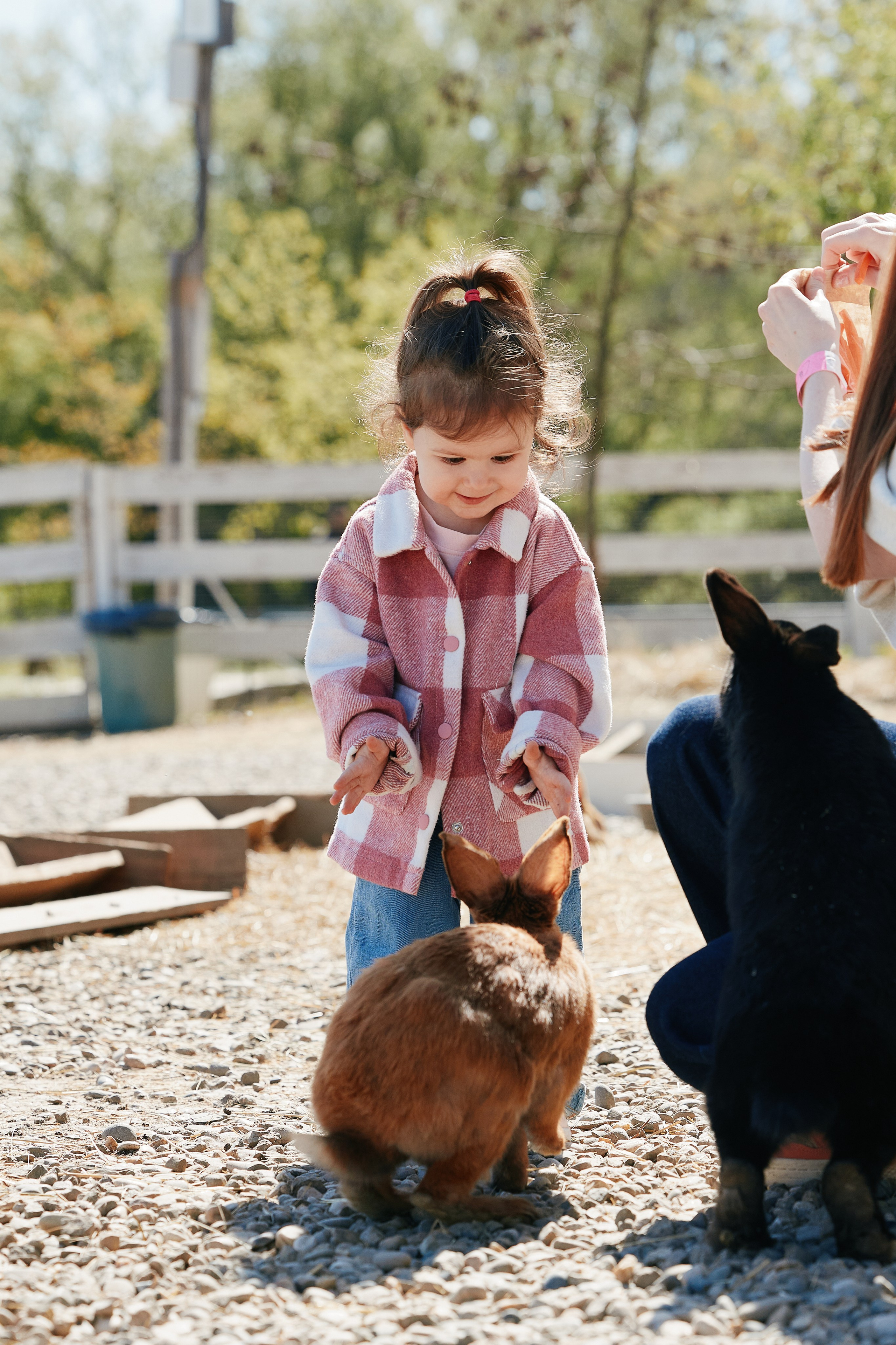 PRIVATE Weekend на Ферме Альпак 19.04. Свадебный репортажный фотограф краснодар максим дремов дрёмов фотосессия студия цена