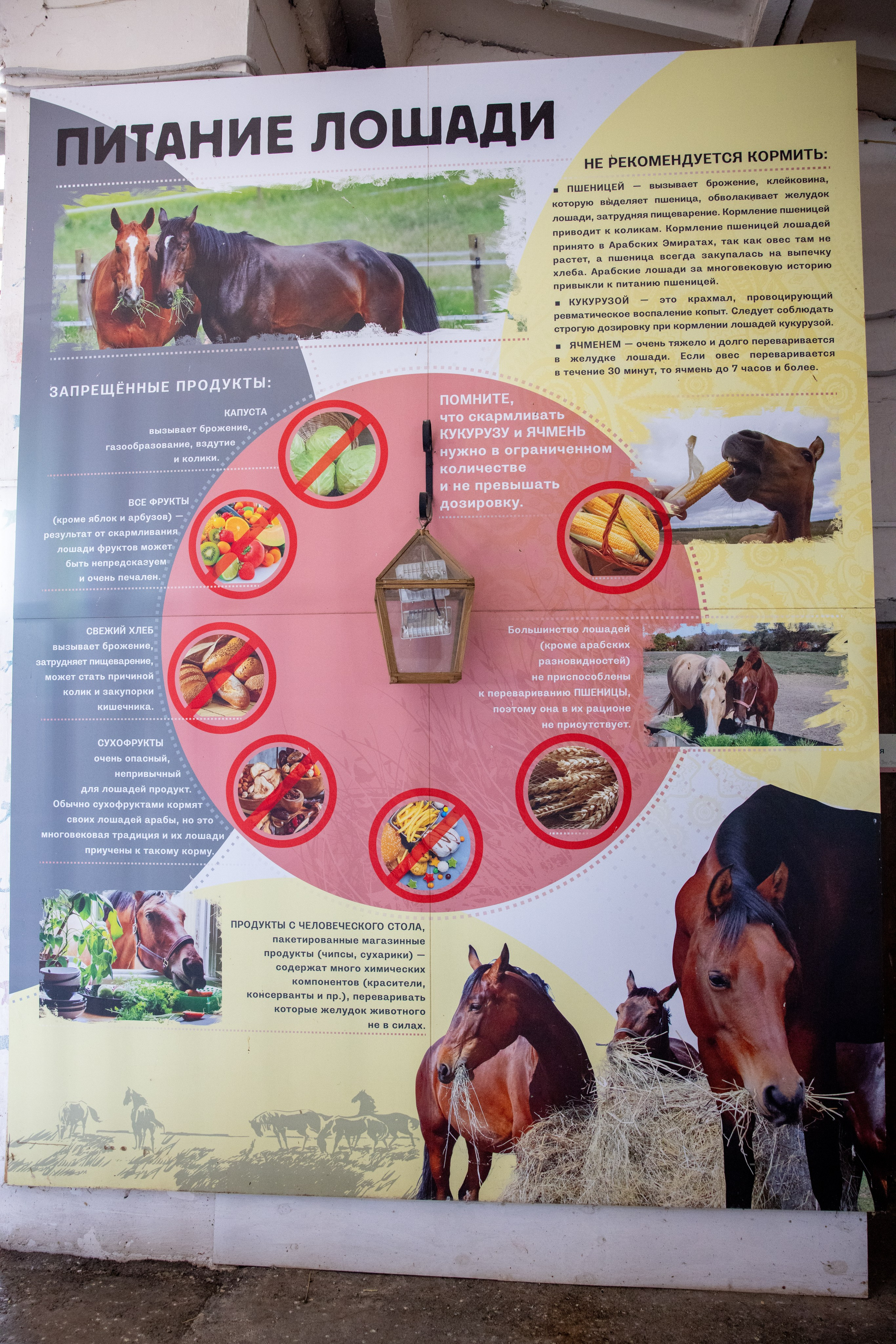 Поездка на поле Кулеково. Фотограф в Туле Крупский АнДРей. Фотостудия «КАДР71» в Туле