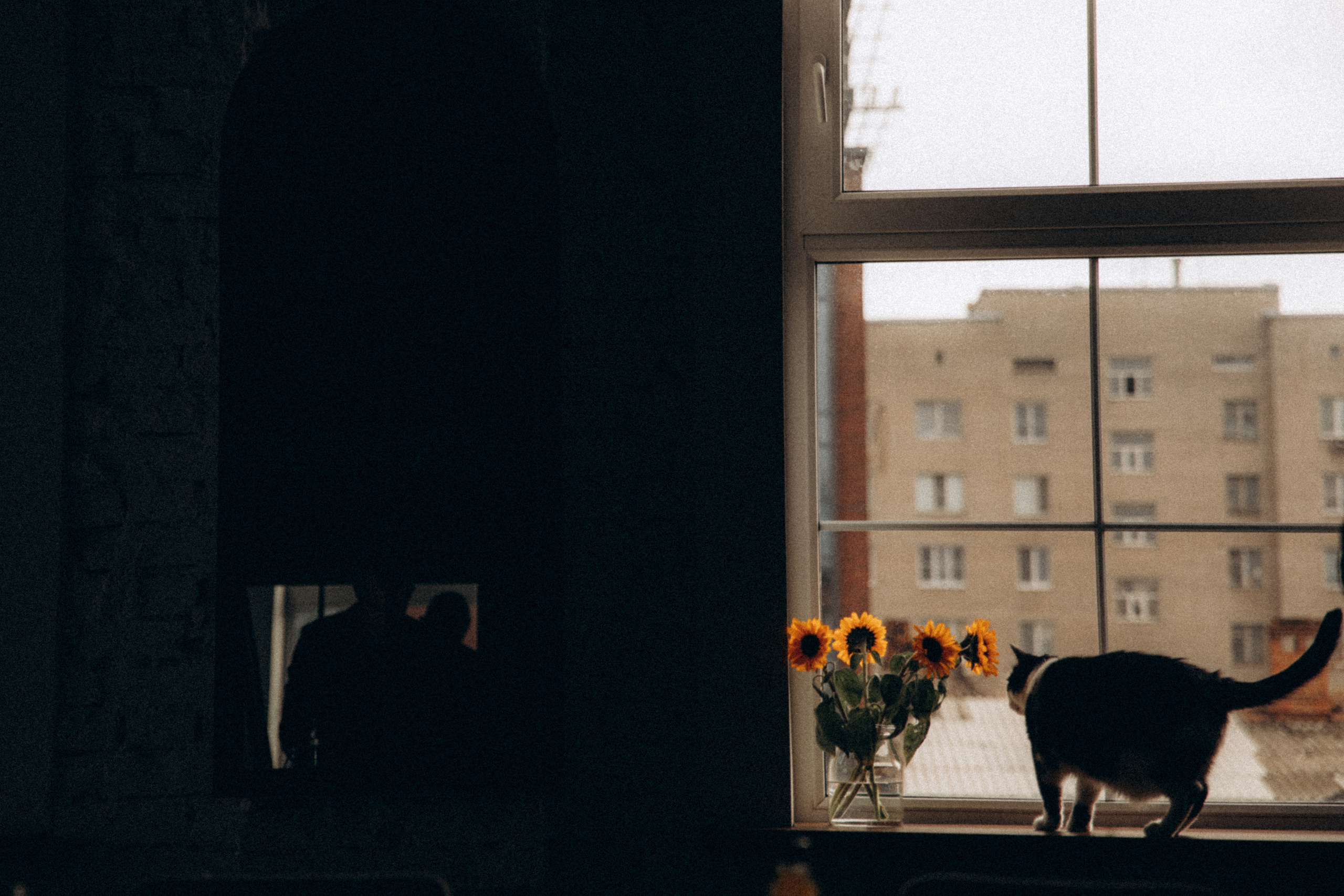 NO DRAMA ONLY DRUM. Ростов. 2021. Никита Погосов