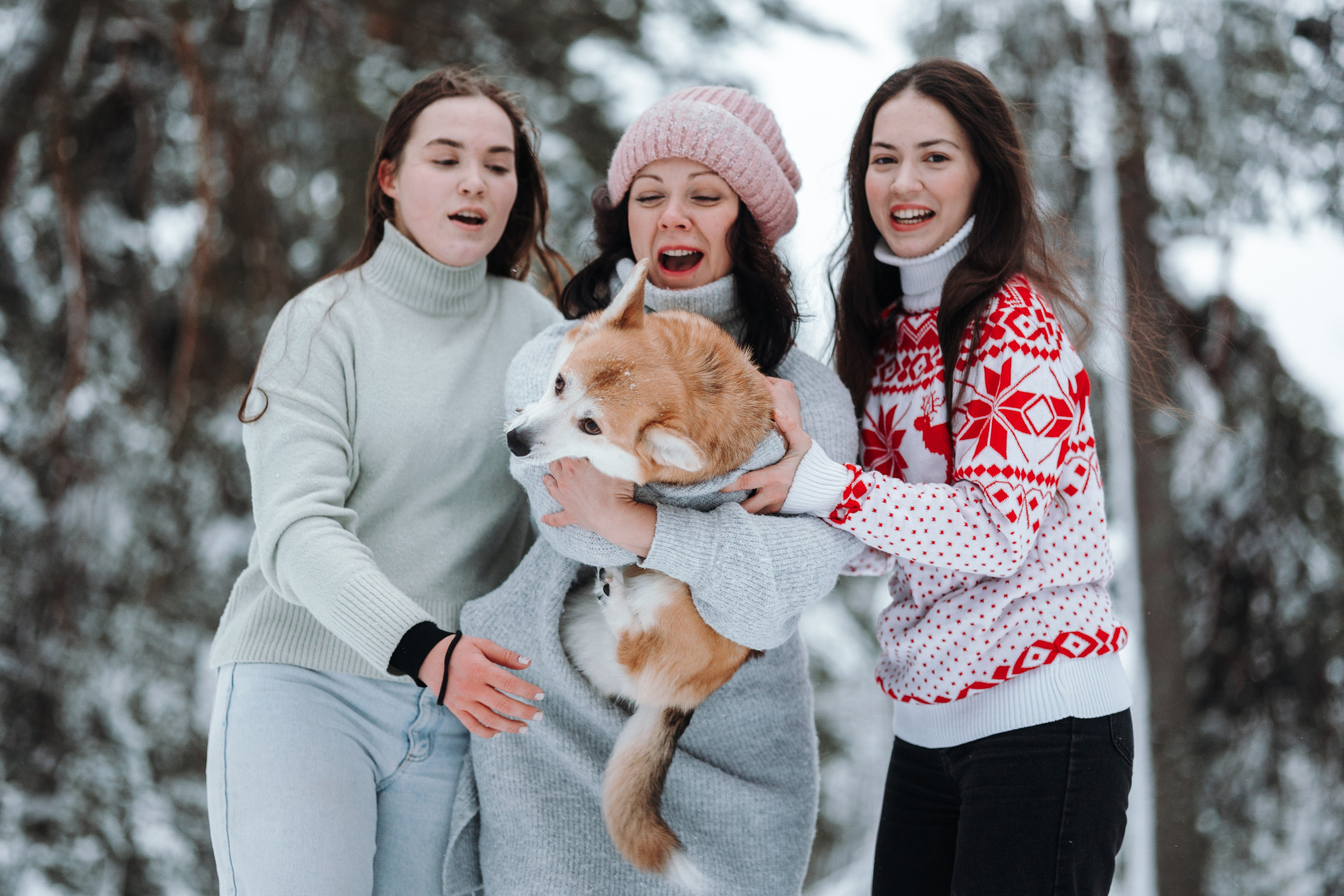 Оливка и ее семья. Фотограф — Анималист | Санкт-Петербург