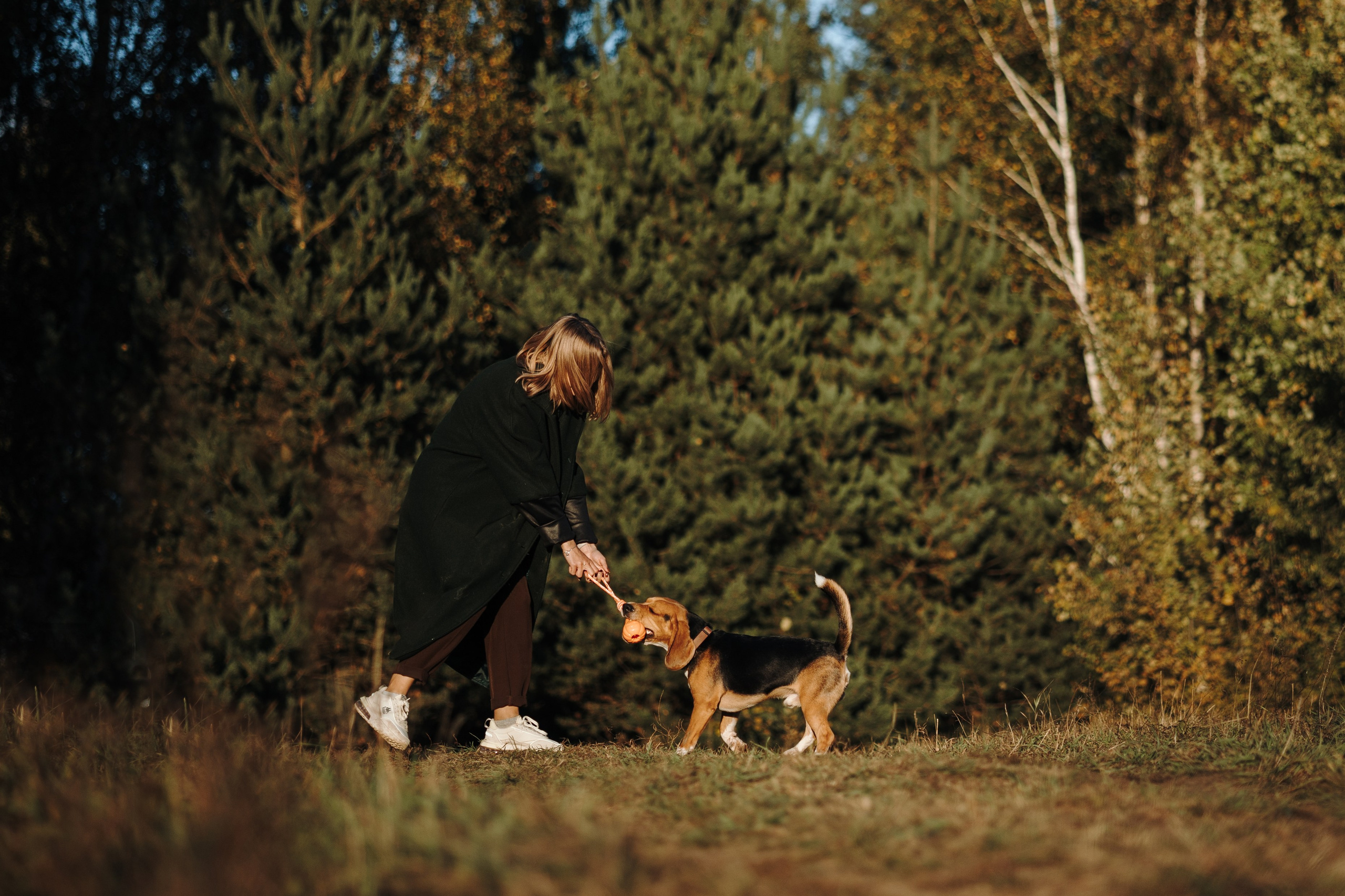 Оуджи и его семья. Фотограф — Анималист | Санкт-Петербург