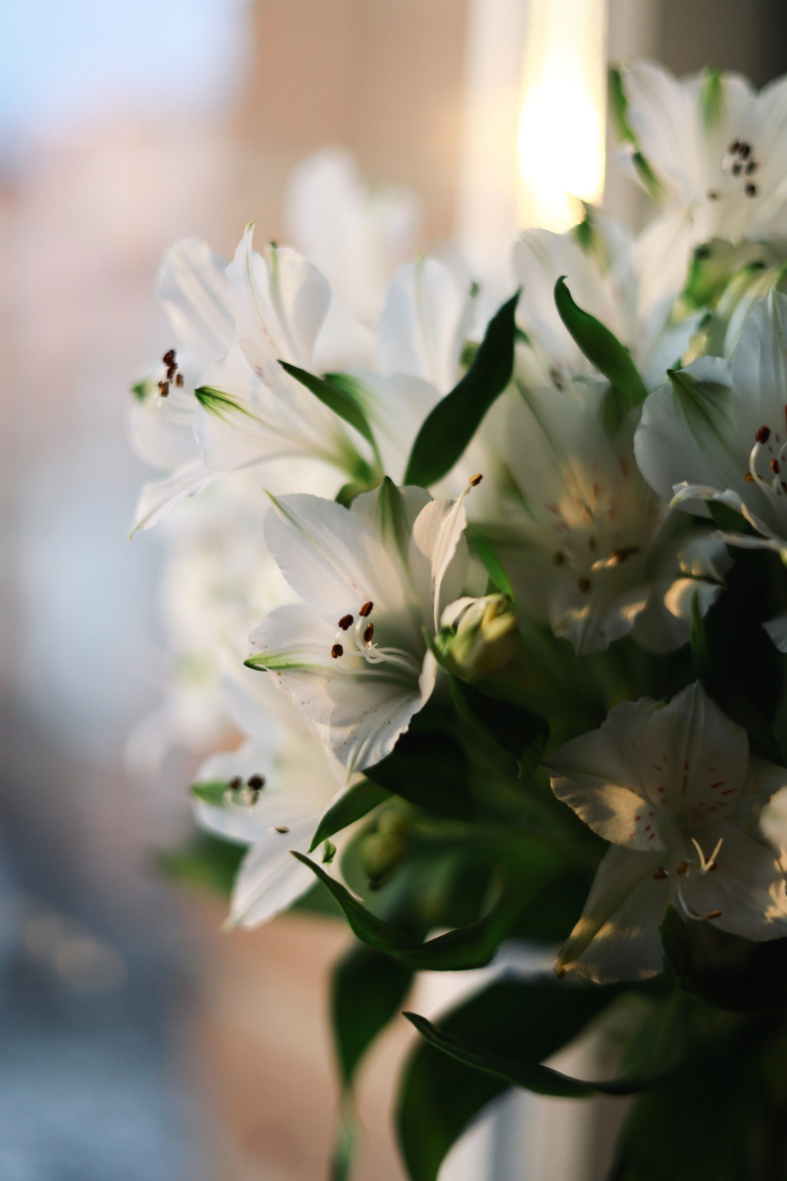 Все, что вокруг меня. Фотограф Евгения Ошкина, Саранск
