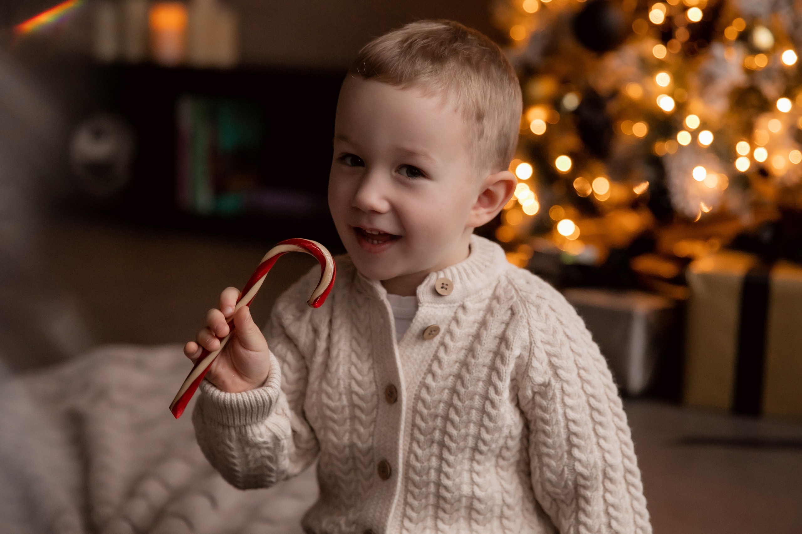Юлия Дмитрий и Илья. Семейный фотограф в Москве