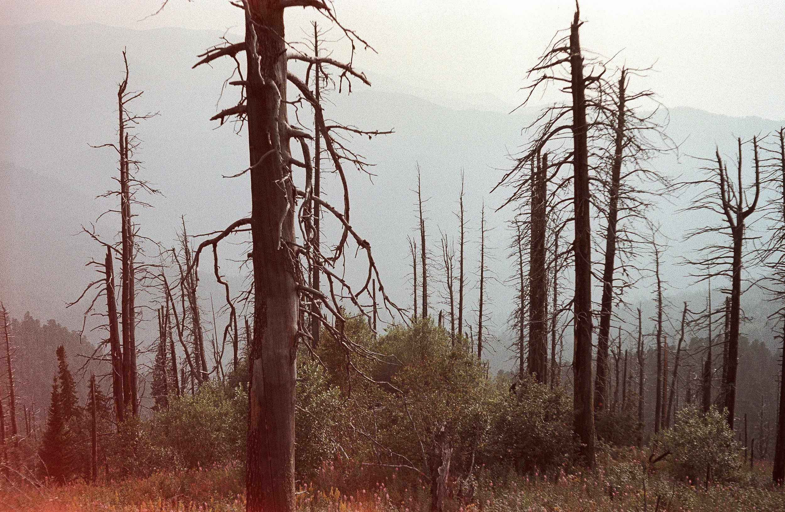 Пейзажные фотографии Алтая. Портретный и репортажный фотограф. Мыльников Илья
