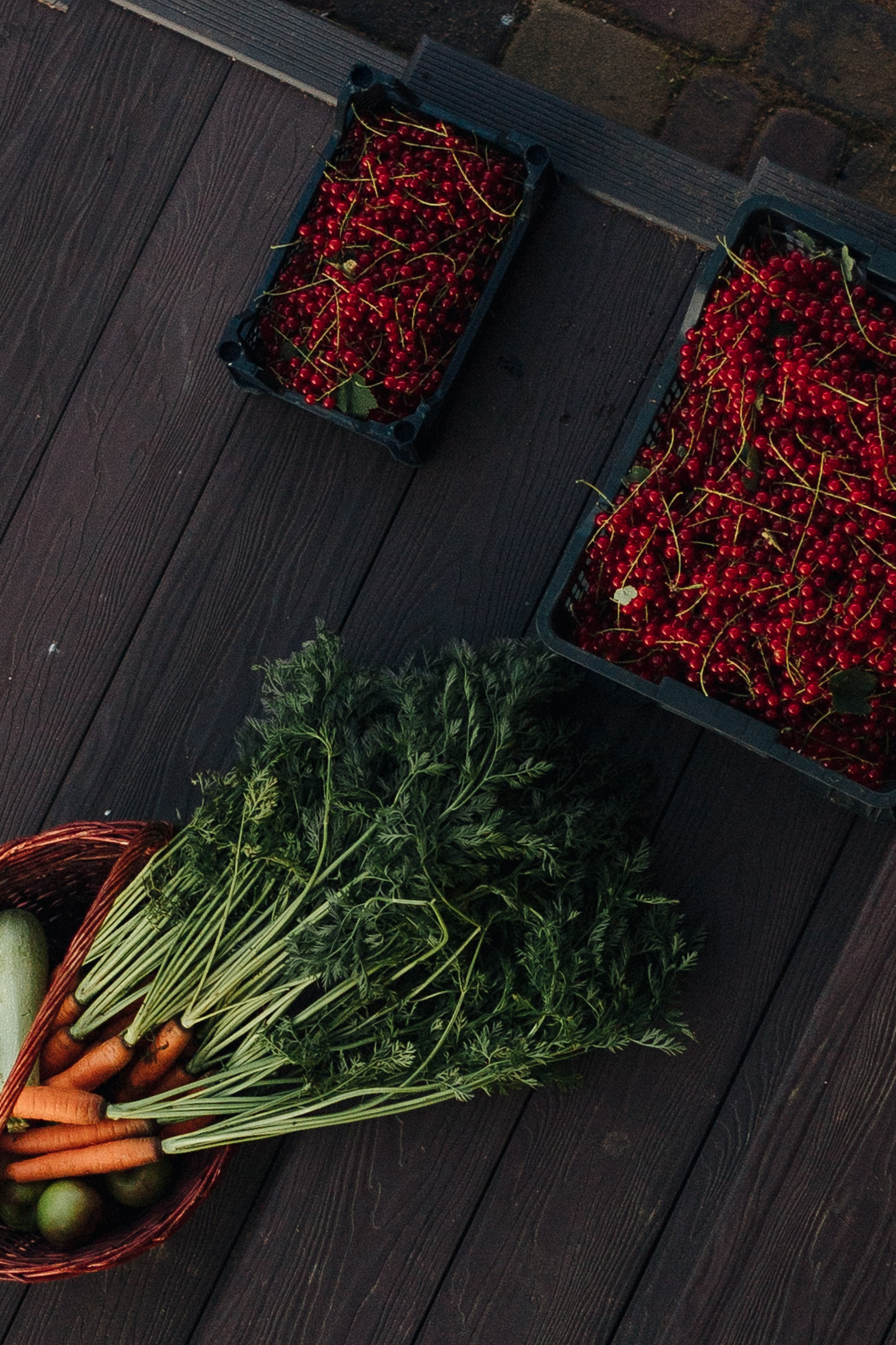 Дачники. Главная