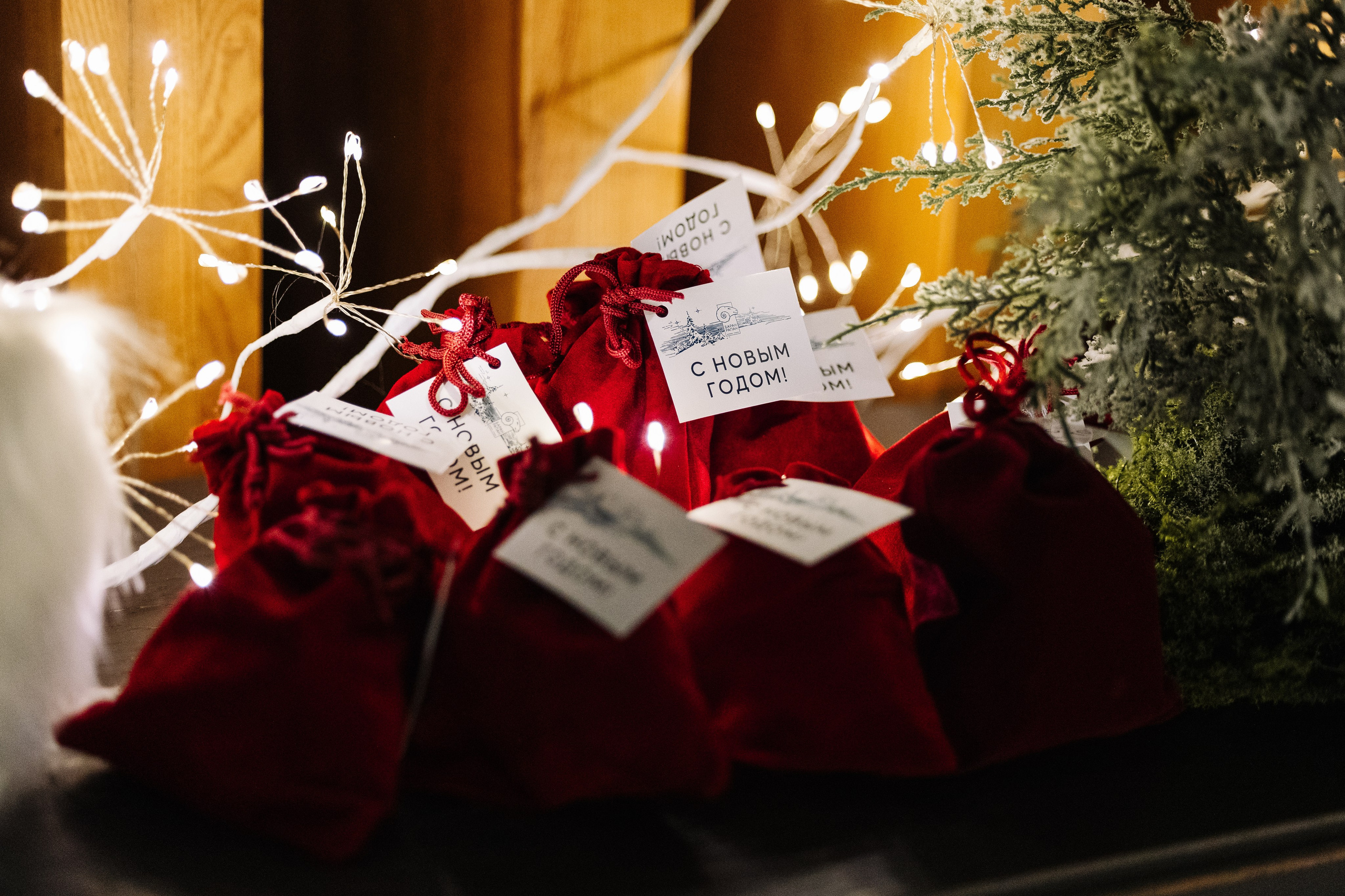 БАРАН РАПАН | РОЖДЕСТВЕНСКИЙ ВЕЧЕР. Фотограф в Сочи Екатерина Потапова