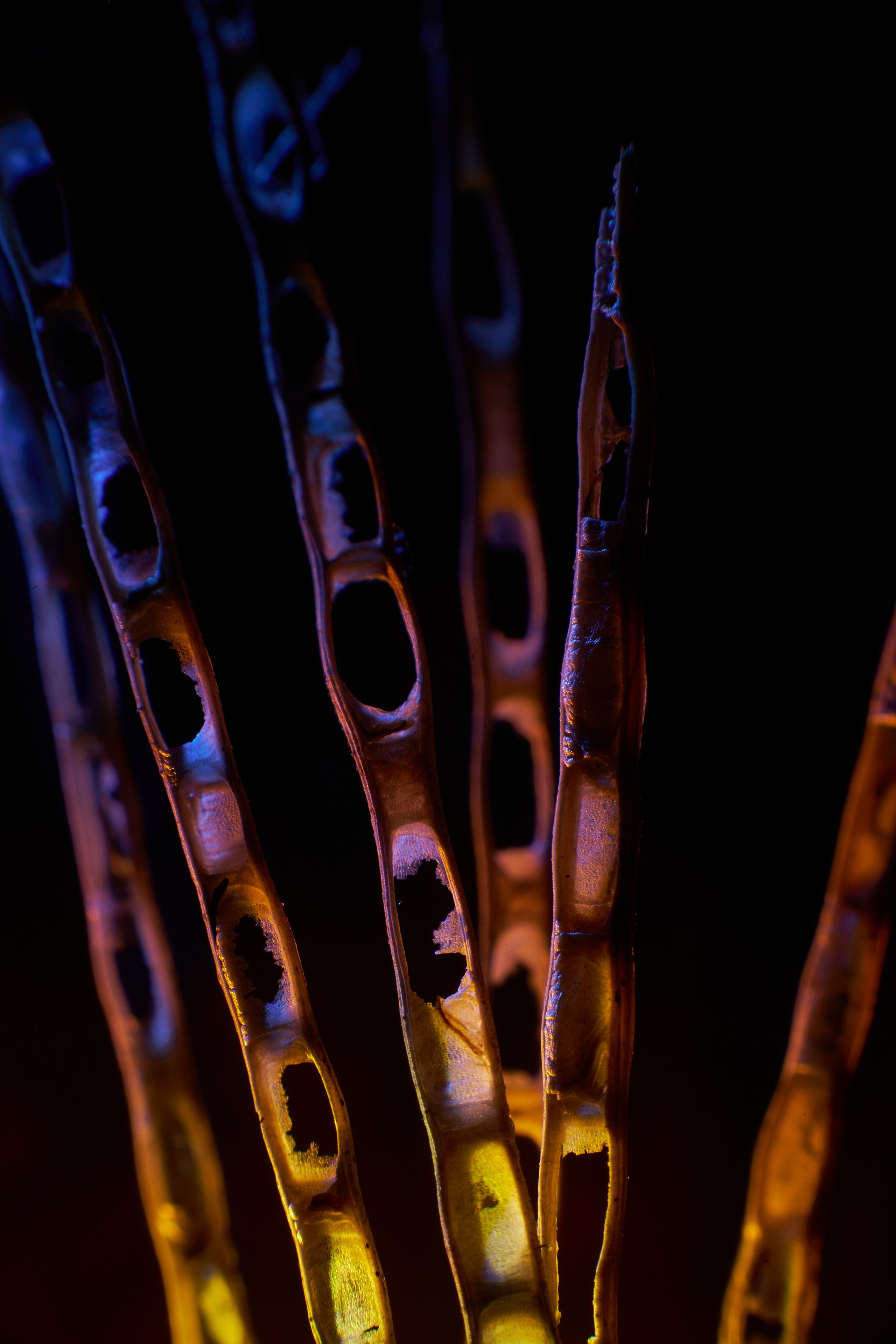 «Красок Тьма Полна». Арт-фотограф во Владивостоке Дмитрий Осипчук