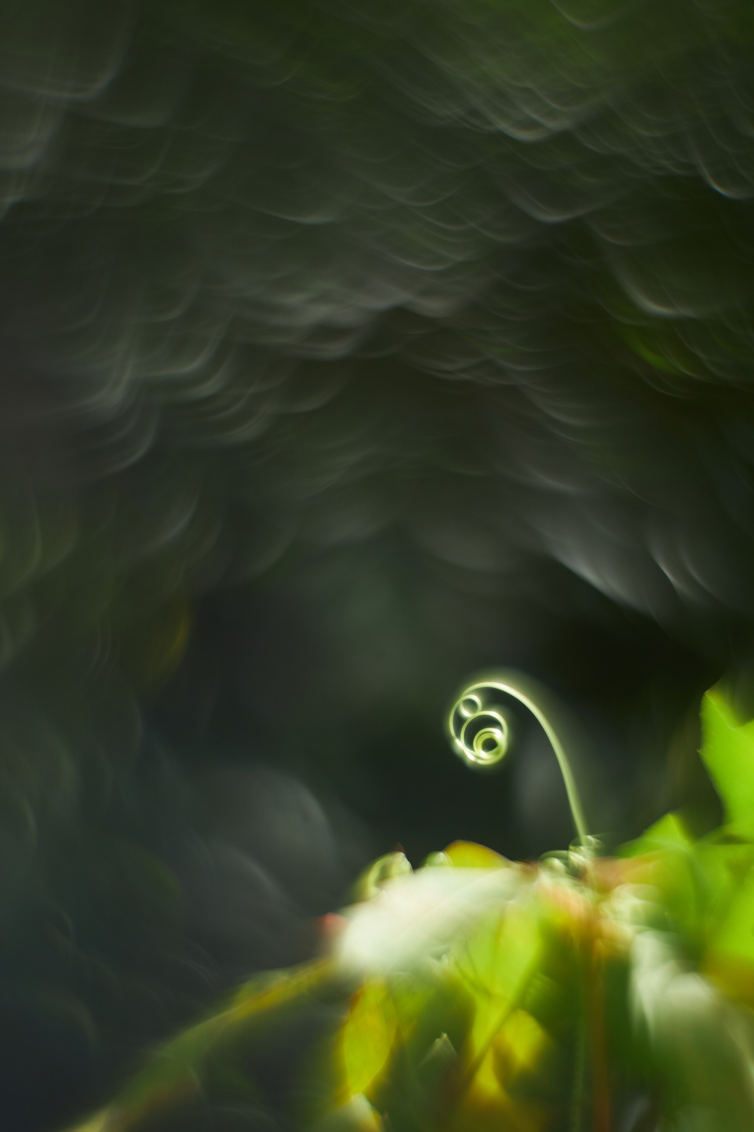 «Незримые Миры». Арт-фотограф во Владивостоке Дмитрий Осипчук