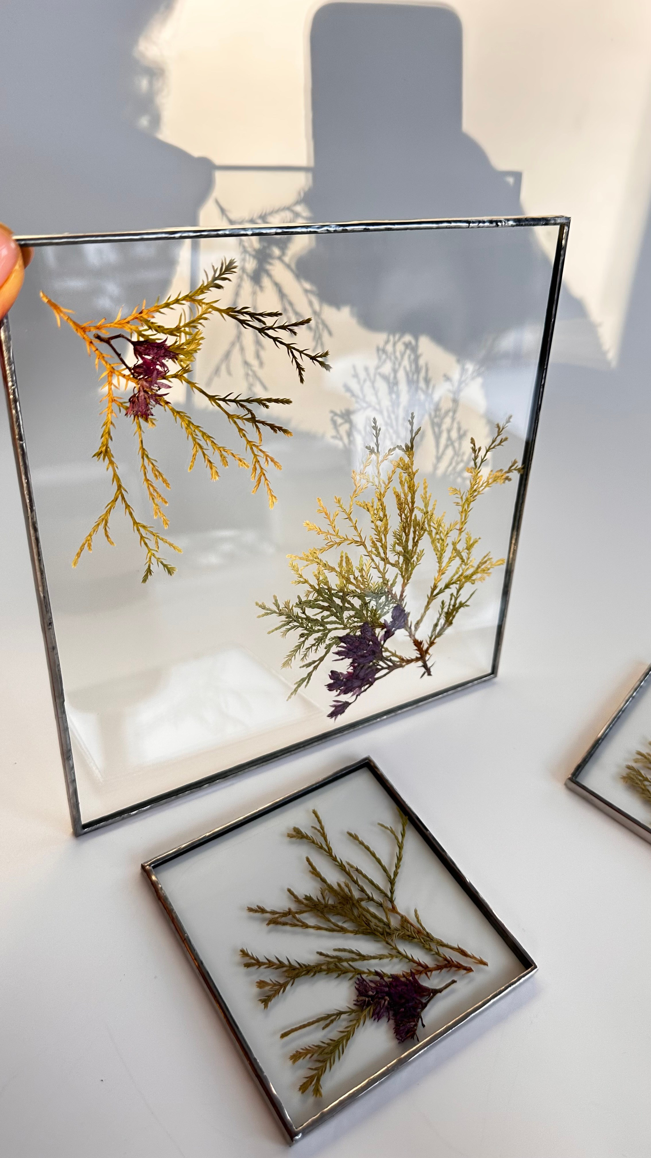 Гербарий в стекле с сухоцветами (витраж в технике тиффани). Гербарий в стекле, интерьерные панно, витражи с сухоцветами в технике тиффани