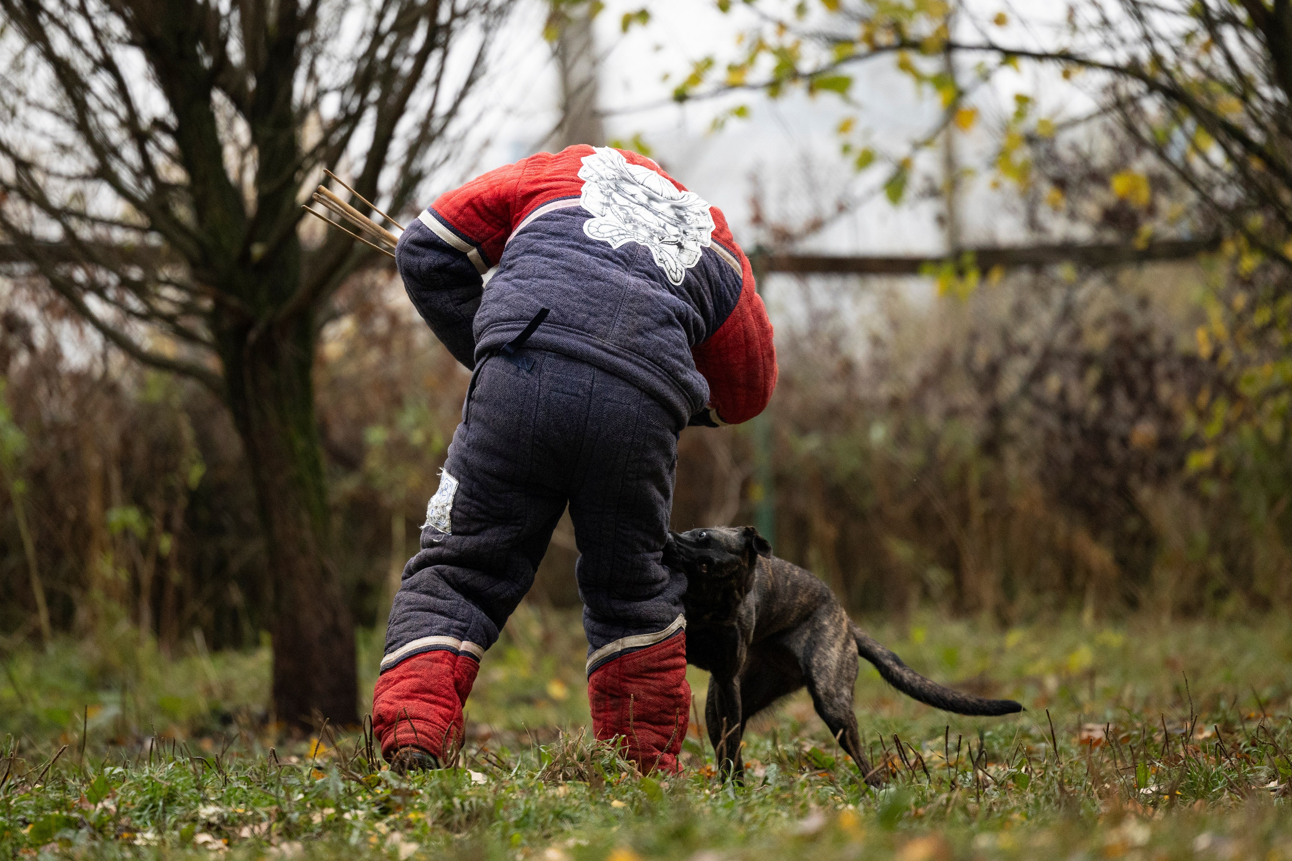 Соревнования по Мондьорингу г. Вологда. Фотограф-анималист Анна Маринич