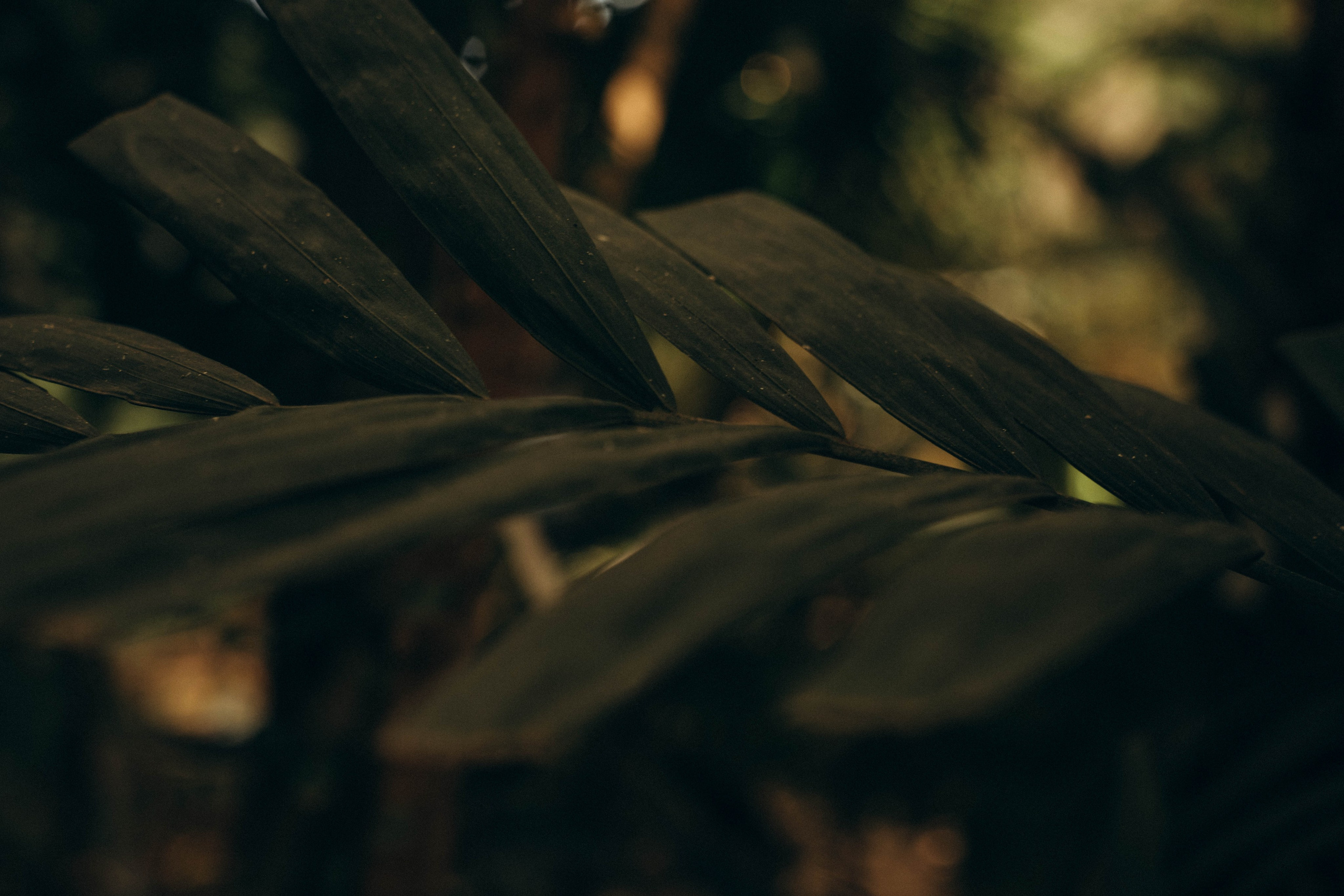 Главное —быть рядом