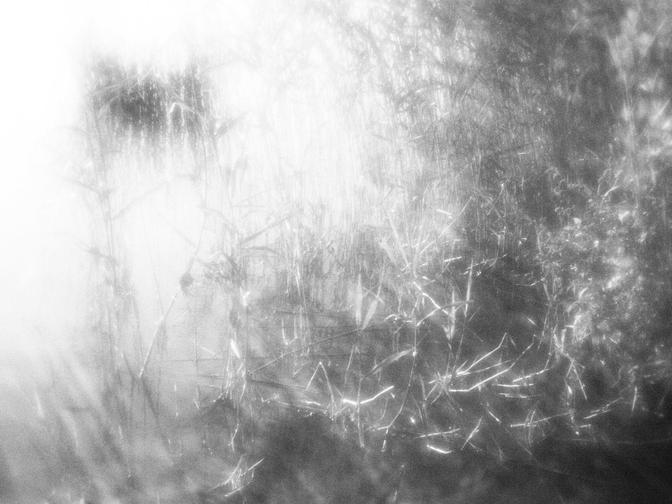 Внутривенные сны (2023)