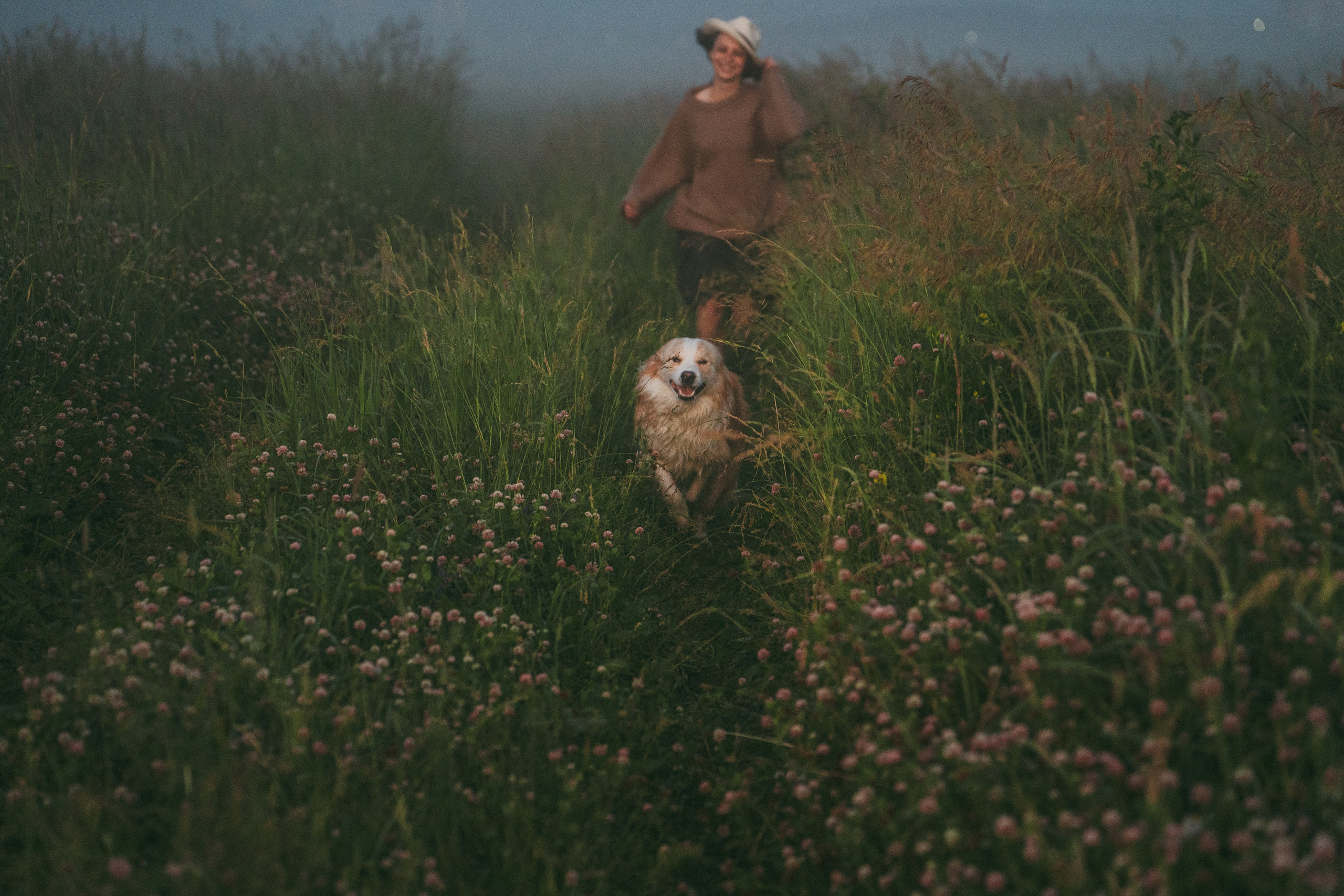 Рина и Марси. Фотограф анималист в Москве и Санкт-Петербурге Свиридова Анна