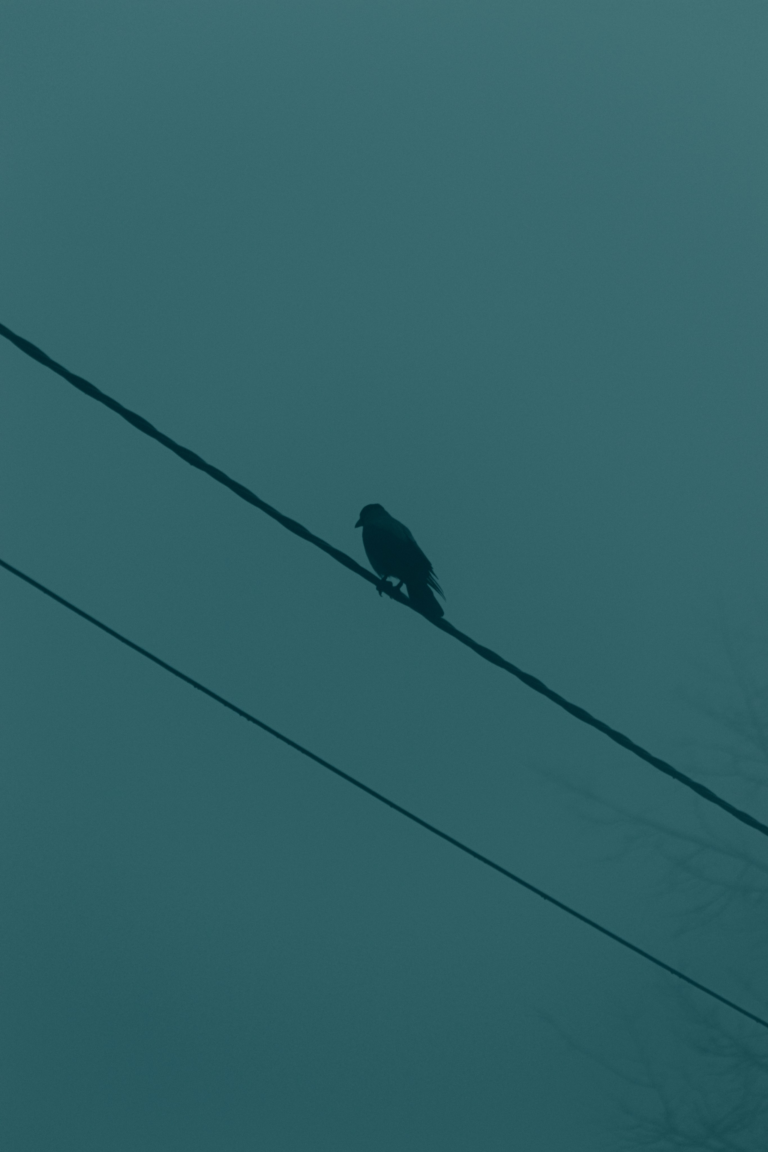 М И Н И М А Л И З М. — Digital Noise —