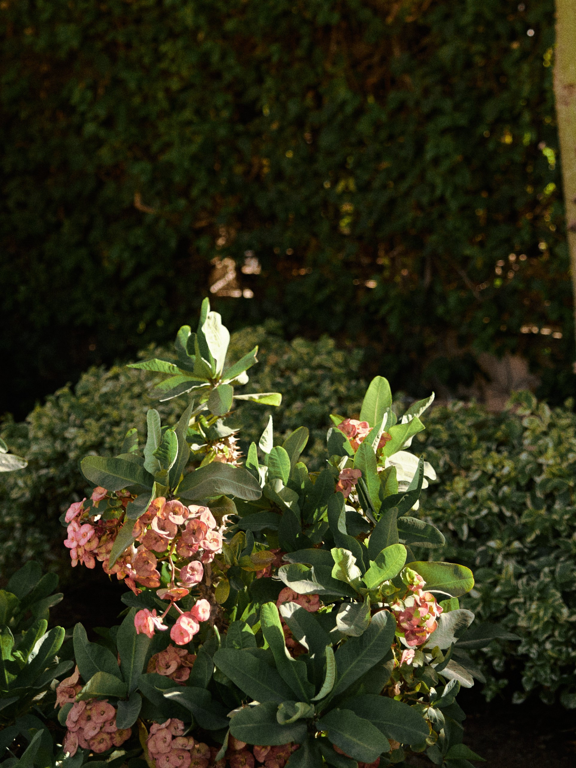 Природа. Jorgis Talè — photographer, kind person, teacher of arts and other mag