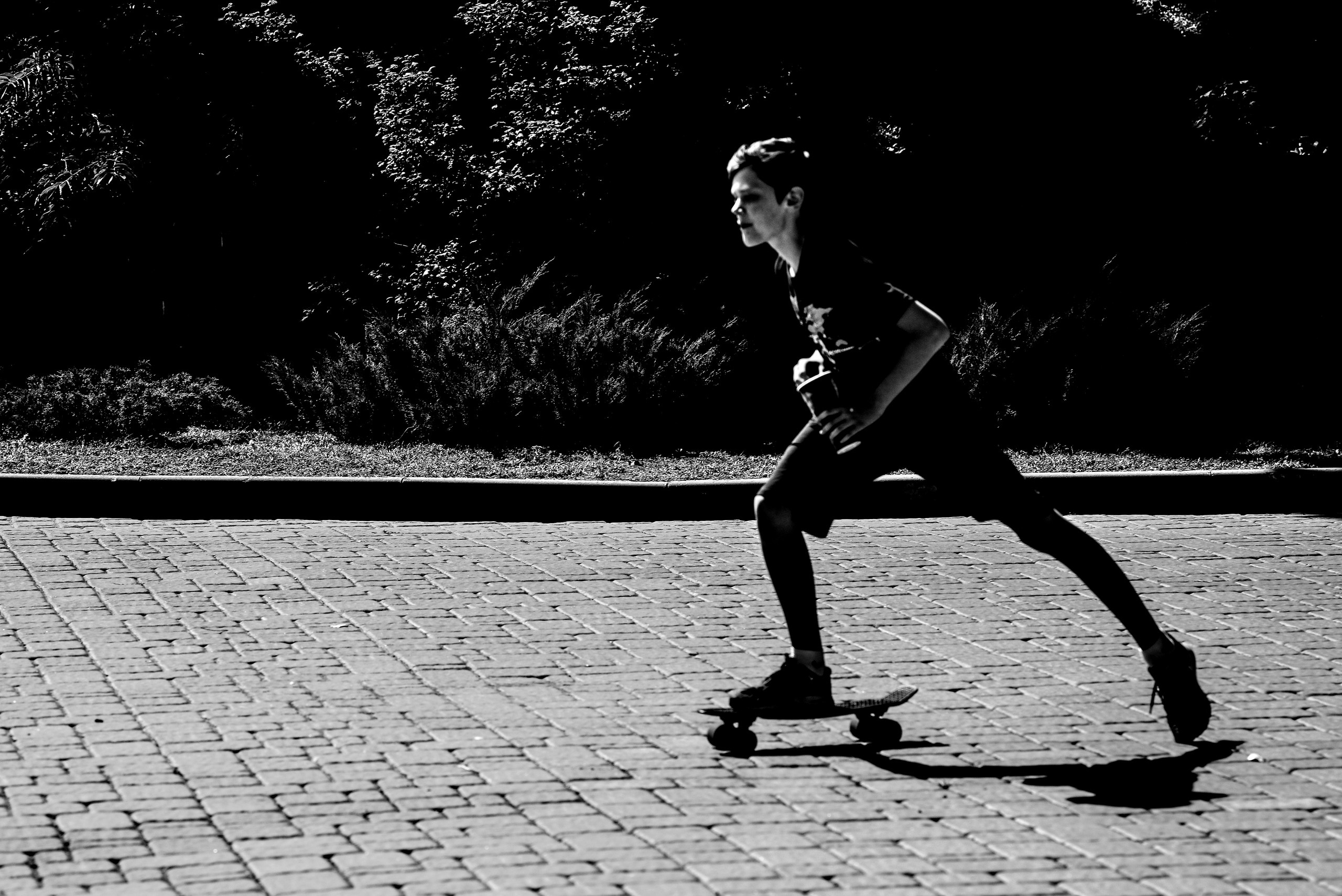 картина, фотокартина, картина в Гомеле, painting, canvas