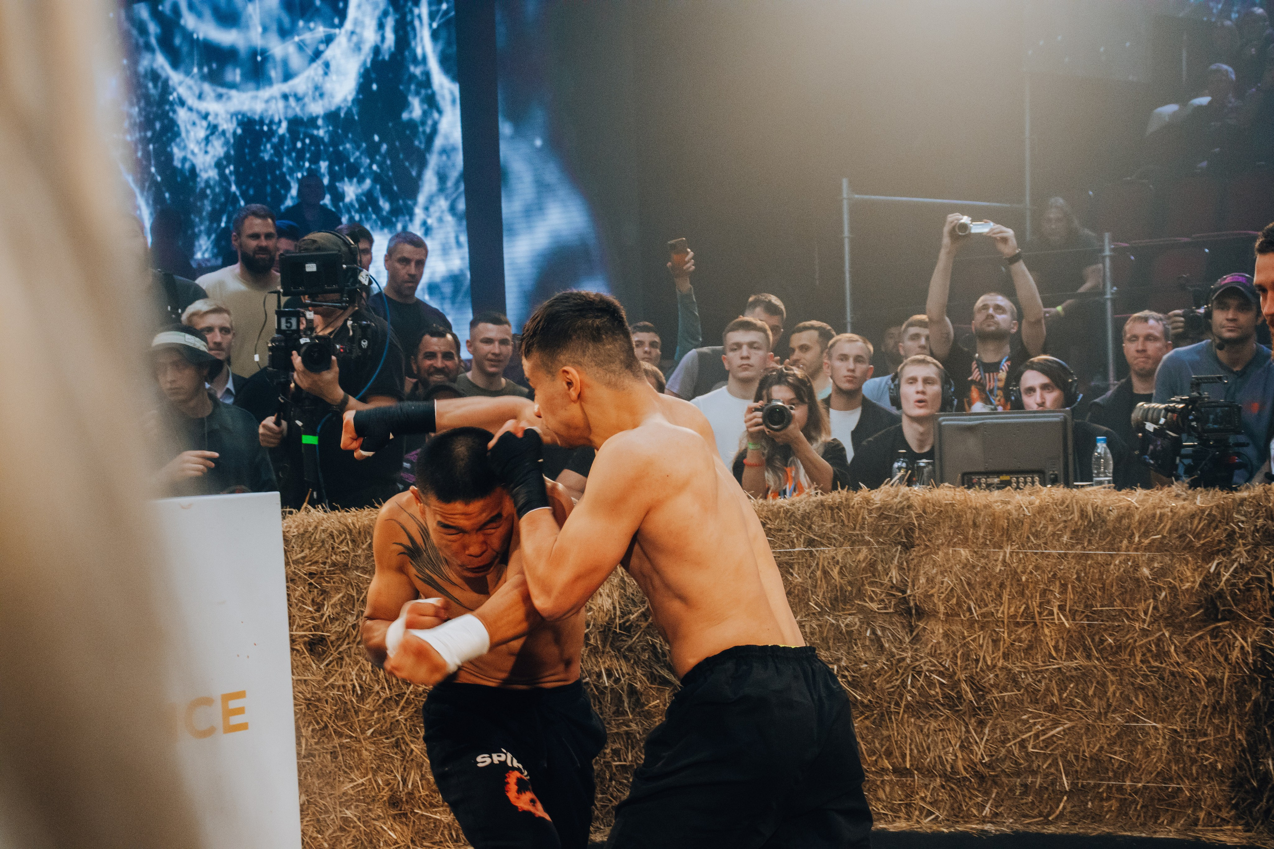 Кулачные бои TopDog. Анастасия Тен