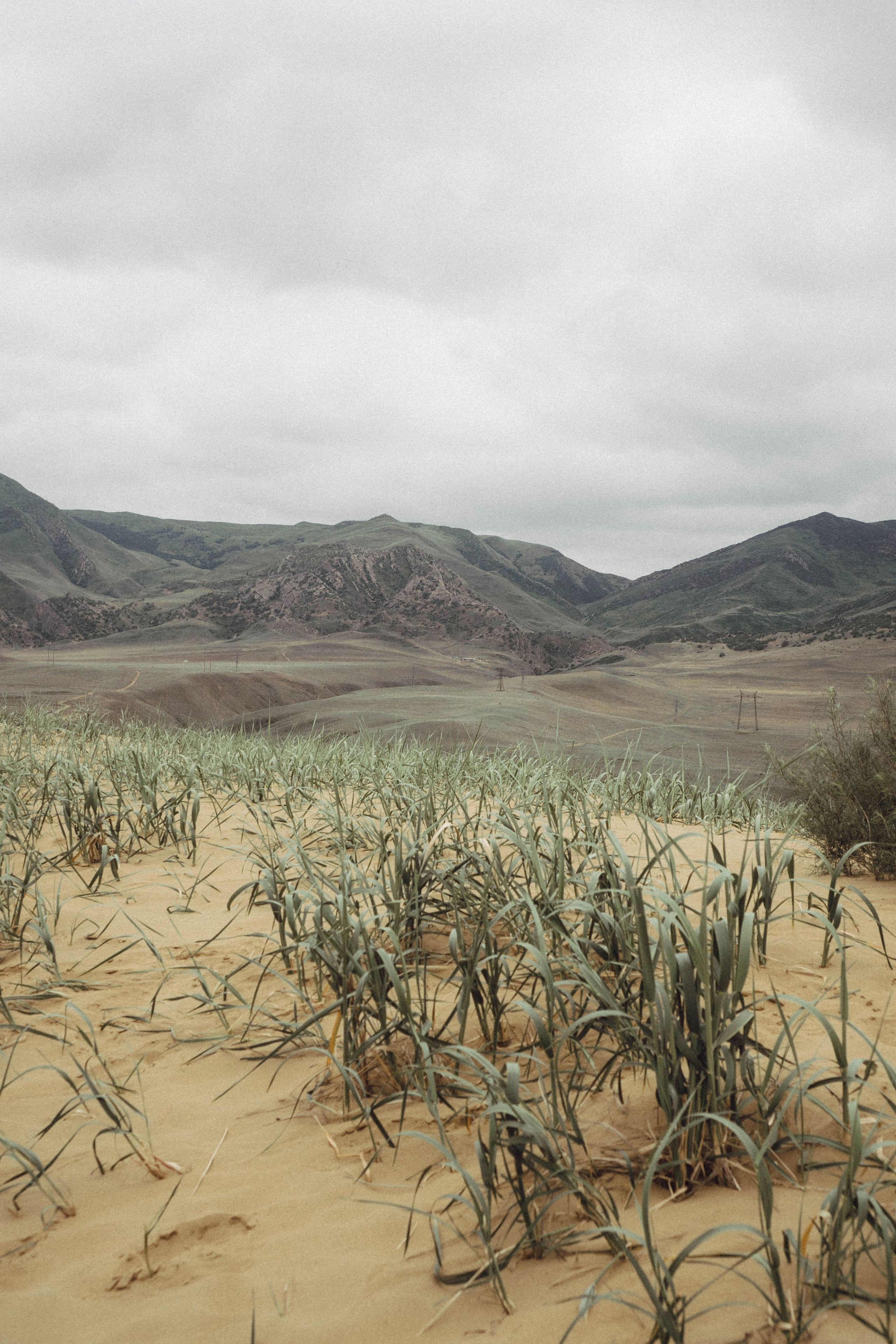 Кавказ. Профессиональный фотограф, Санкт-Петербург — Виктория Богомолова