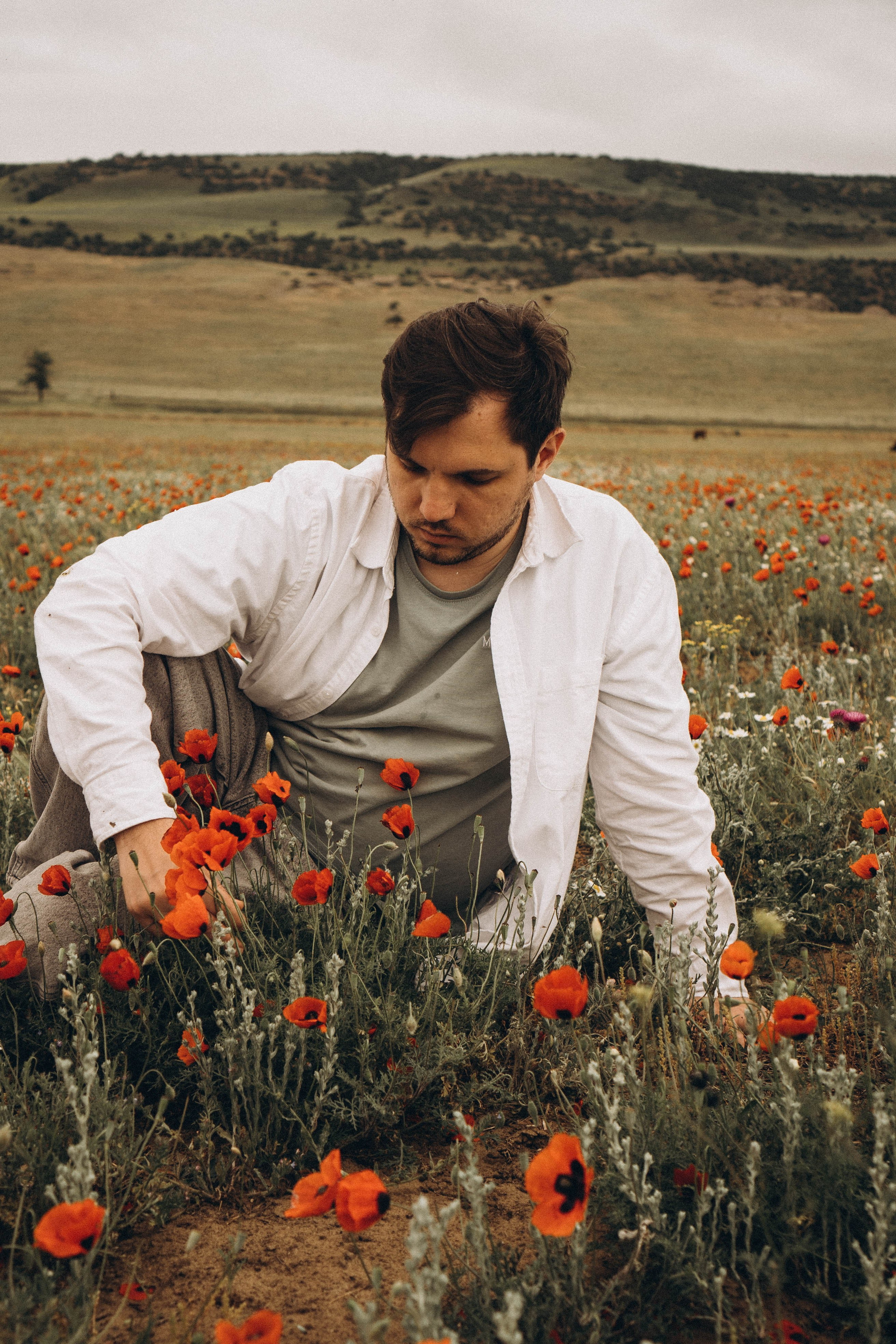 Маки. Профессиональный фотограф, Санкт-Петербург — Виктория Богомолова