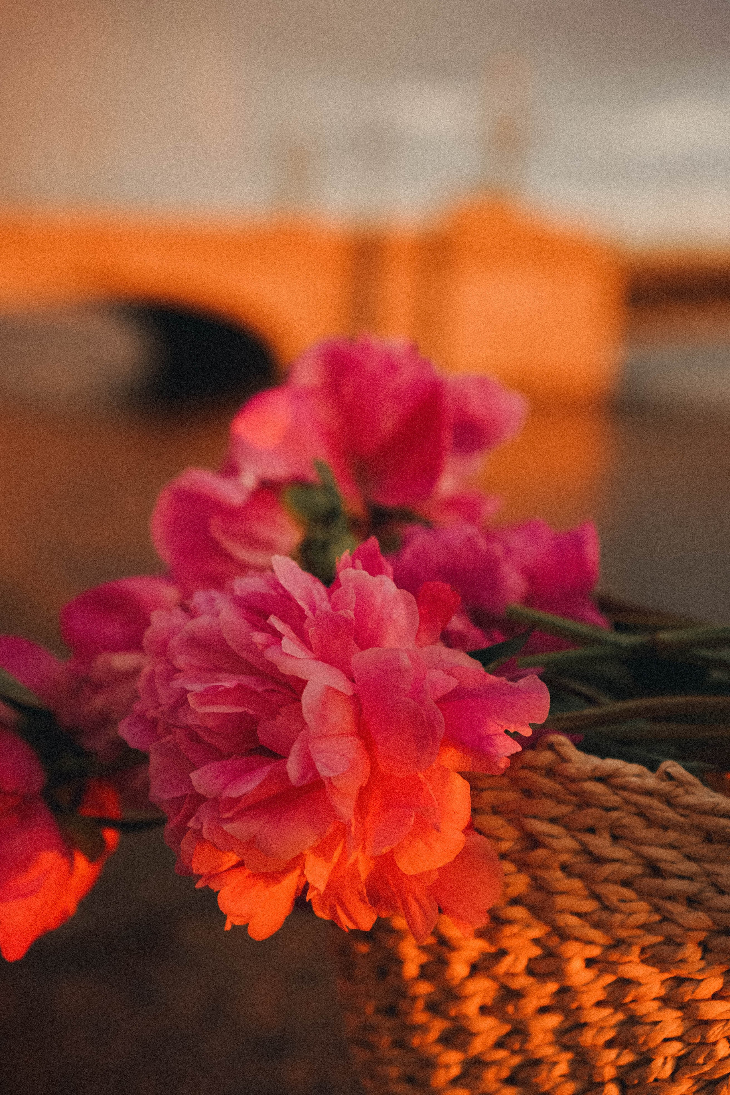 Любовь. Профессиональный фотограф, Санкт-Петербург — Виктория Богомолова