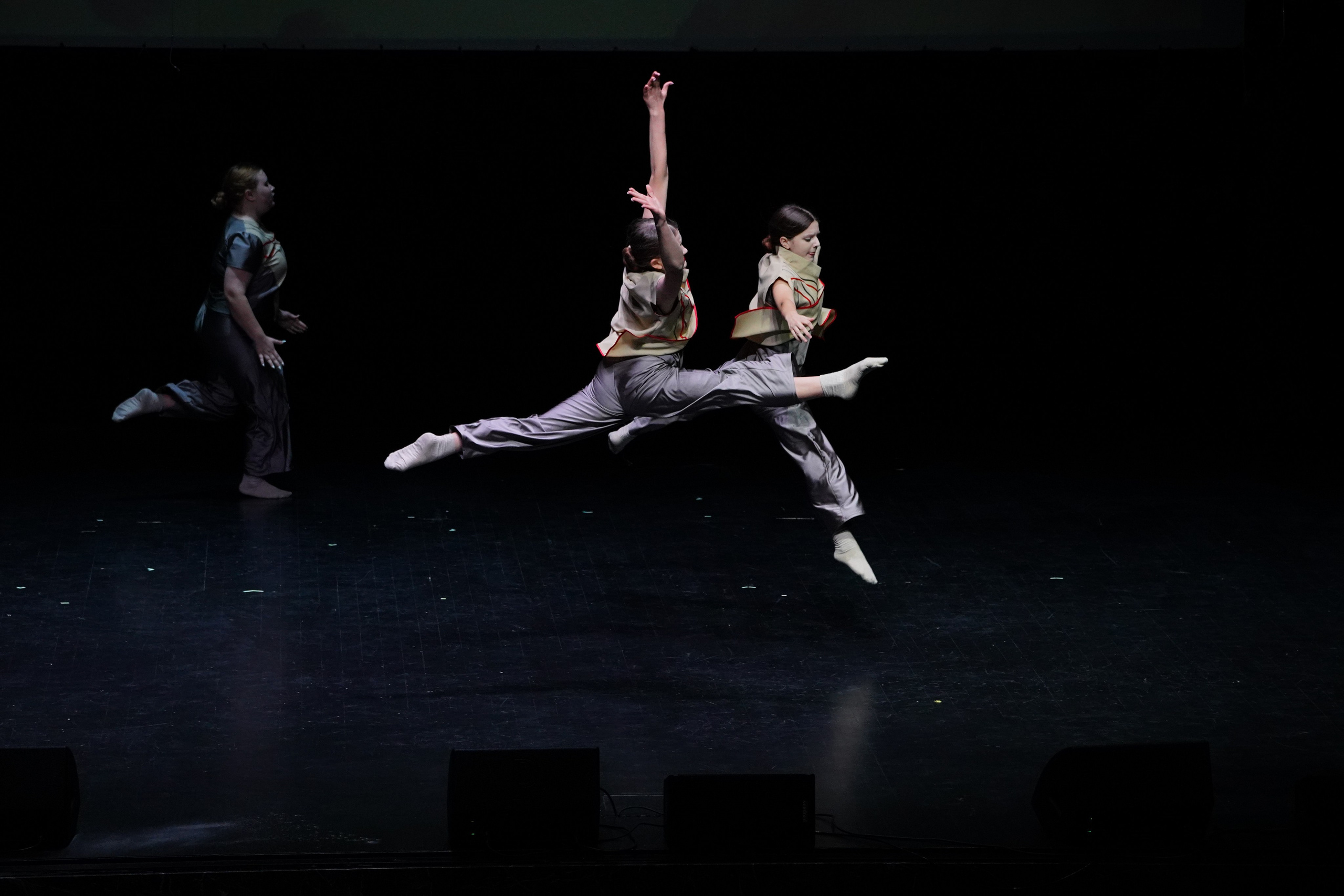 Концерты и выступления. «Студия DRONAVT`s» — видеосъёмка и фотография г. Москва