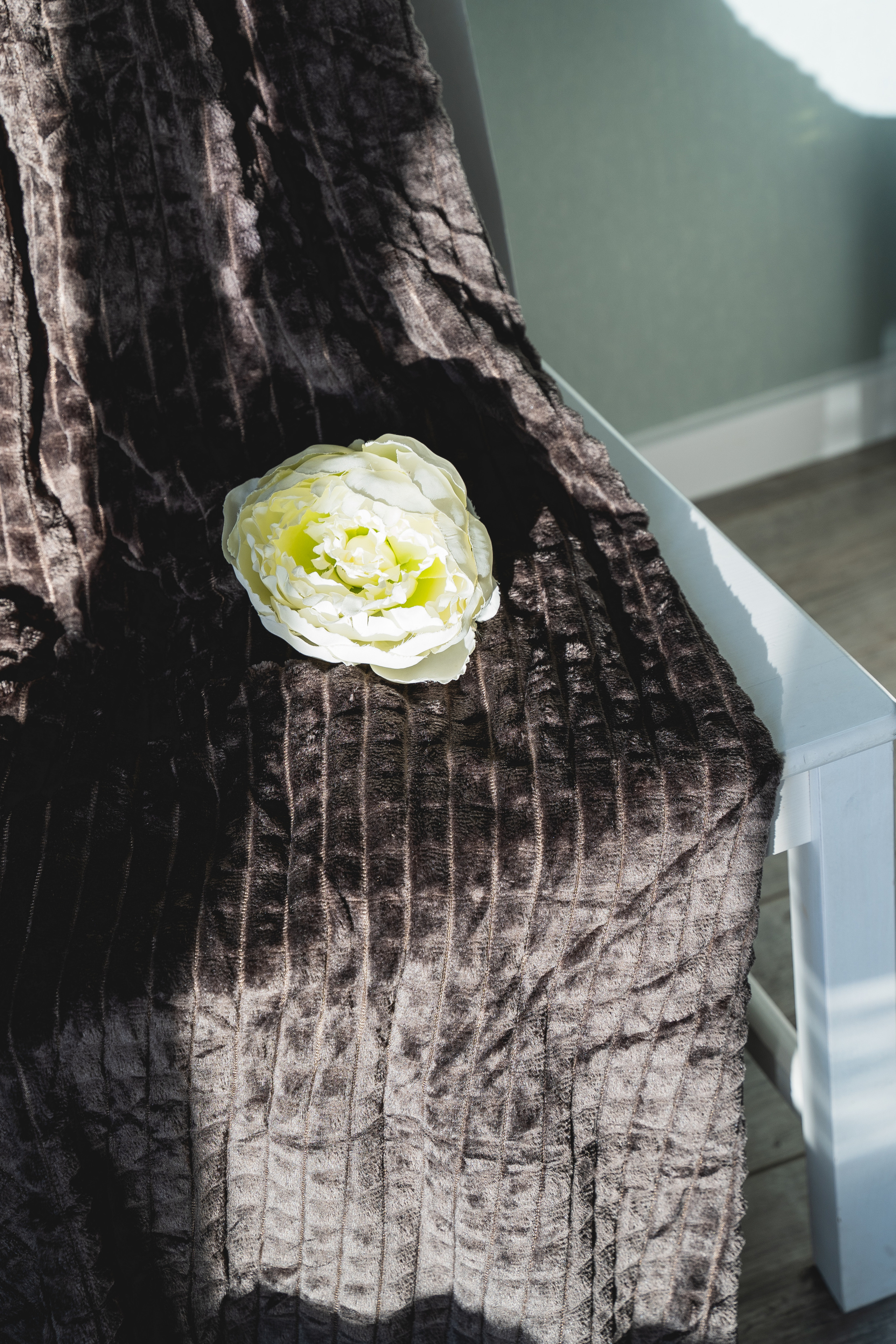 Пледный контент. Визуальный художник «Границы внутри»