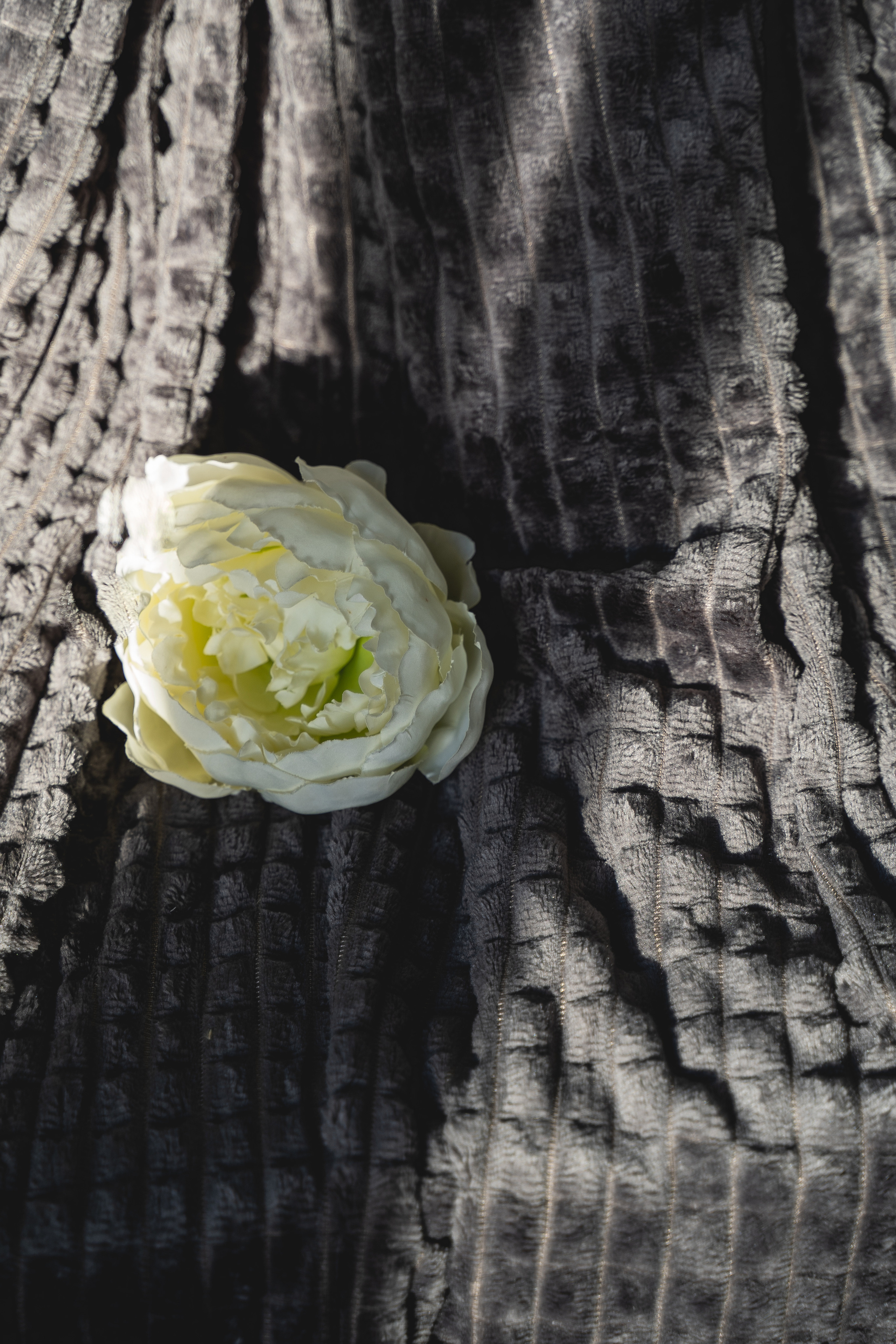 Пледный контент. Визуальный художник «Границы внутри»