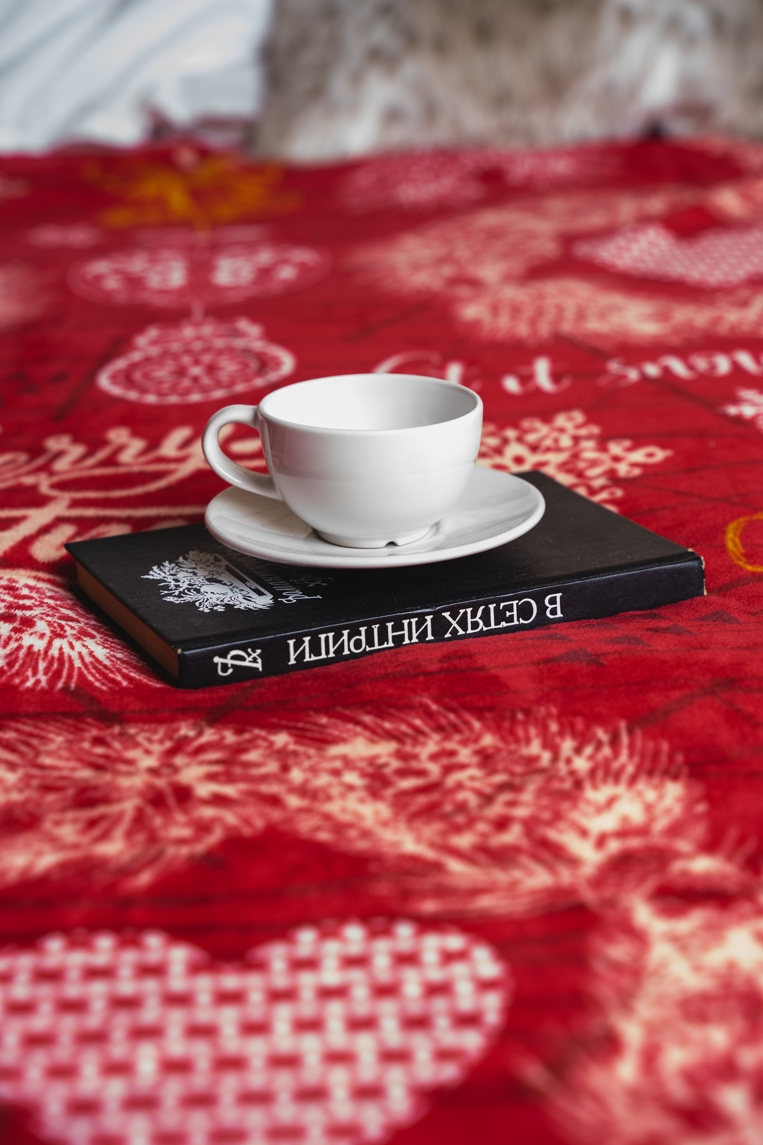 НГ пледы. Визуальный художник «Границы внутри»