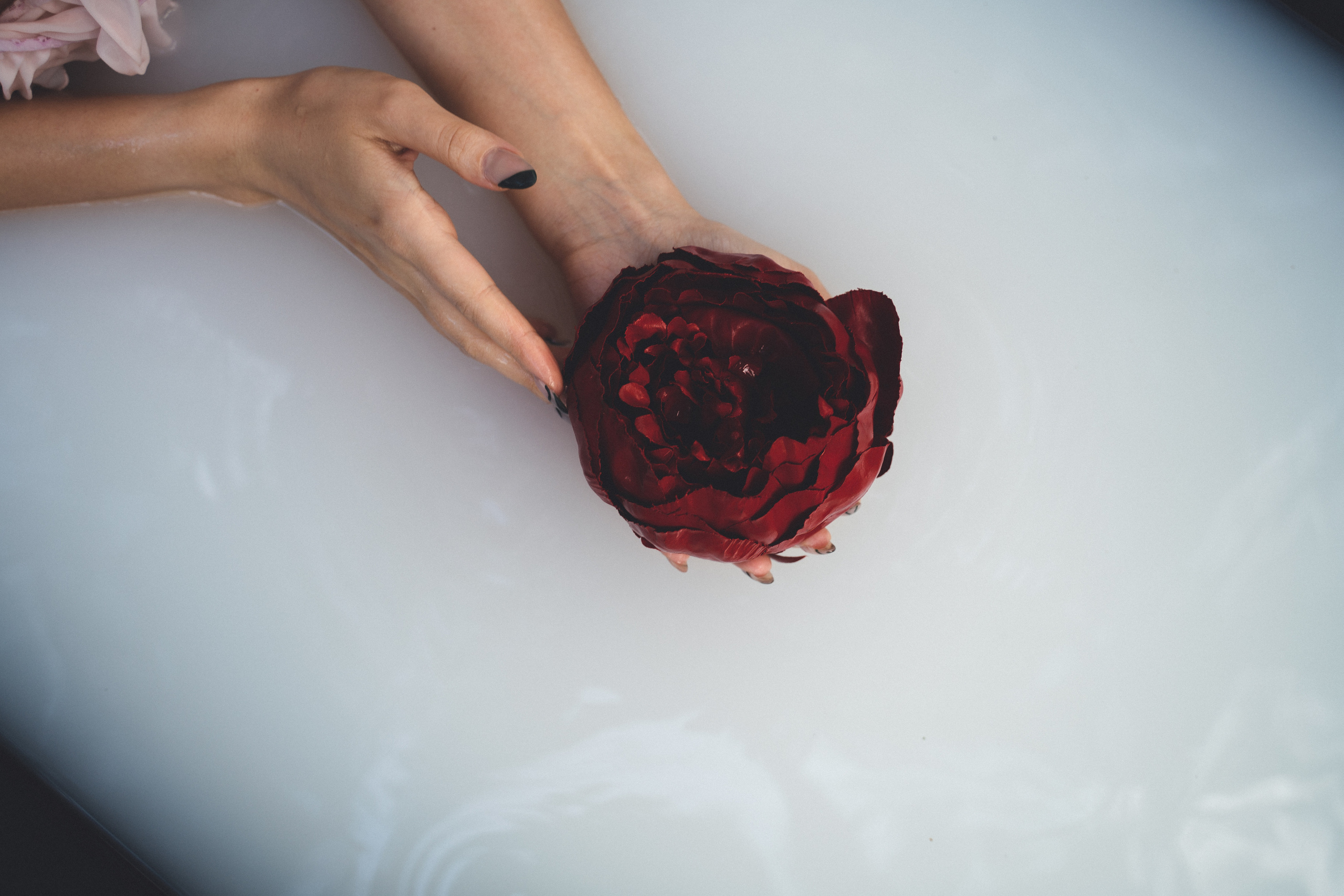 Лесные нимфы. Визуальный художник «Границы внутри»