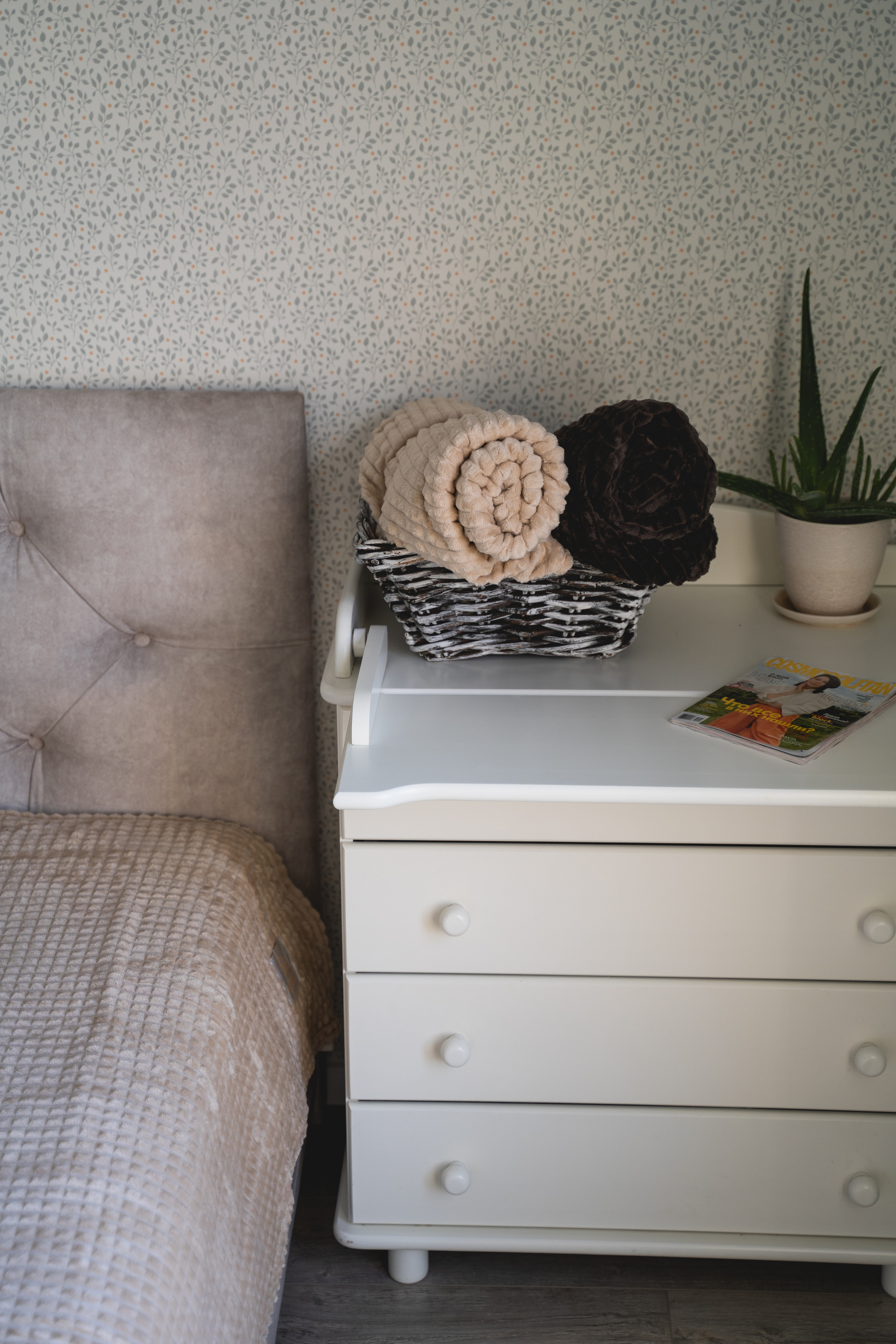 Пледный контент. Визуальный художник «Границы внутри»