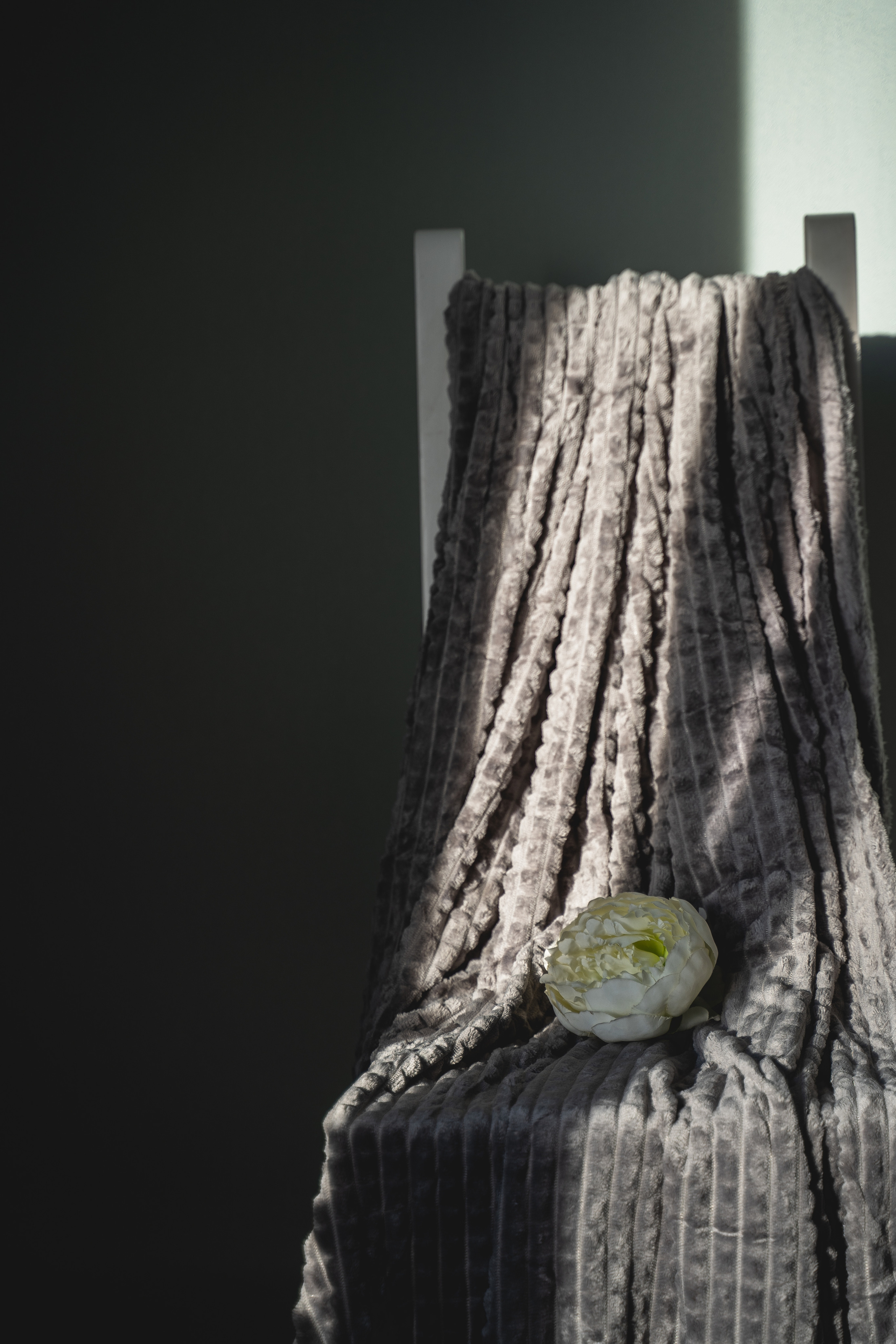 Пледный контент. Визуальный художник «Границы внутри»