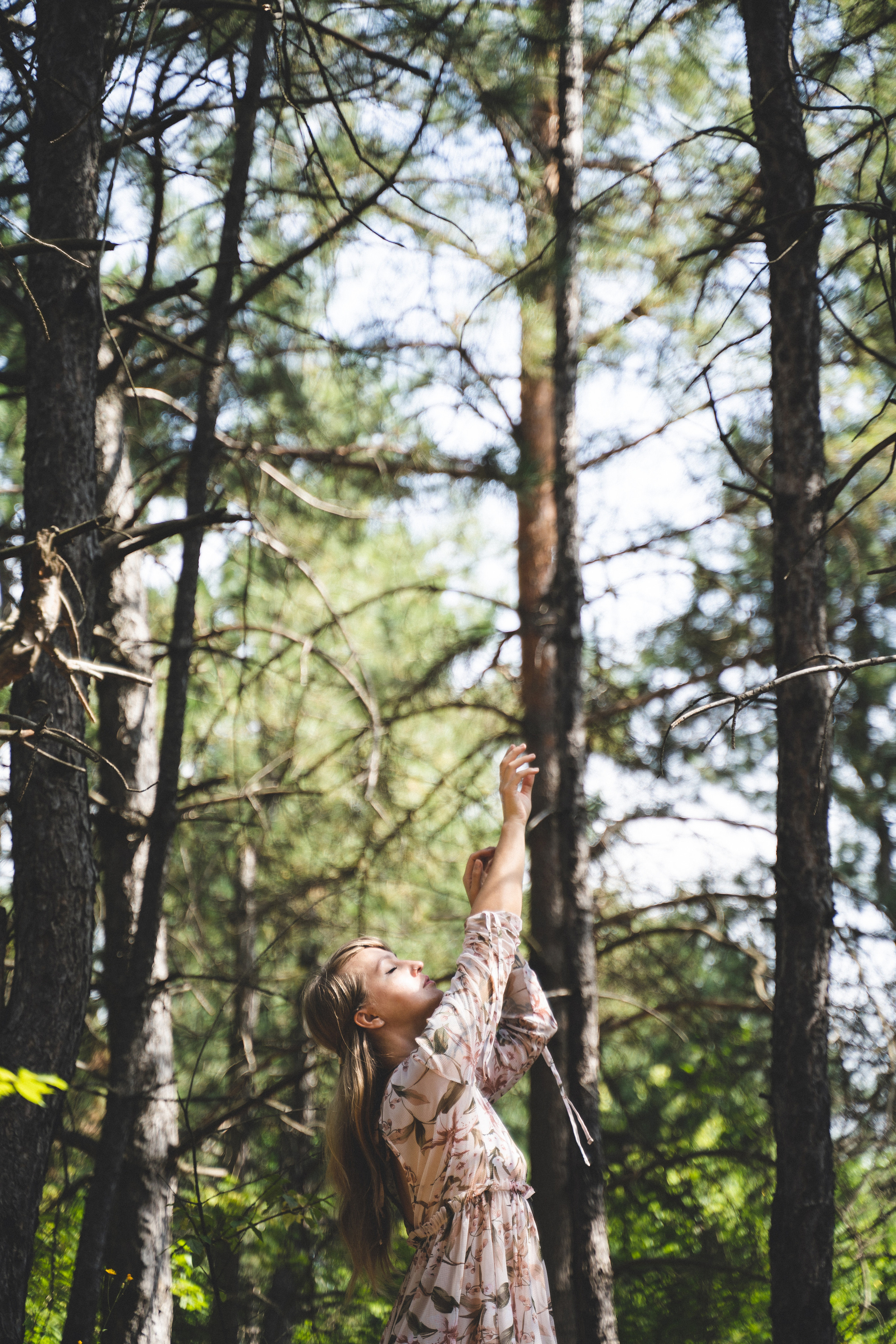 Лесные нимфы. Визуальный художник «Границы внутри»