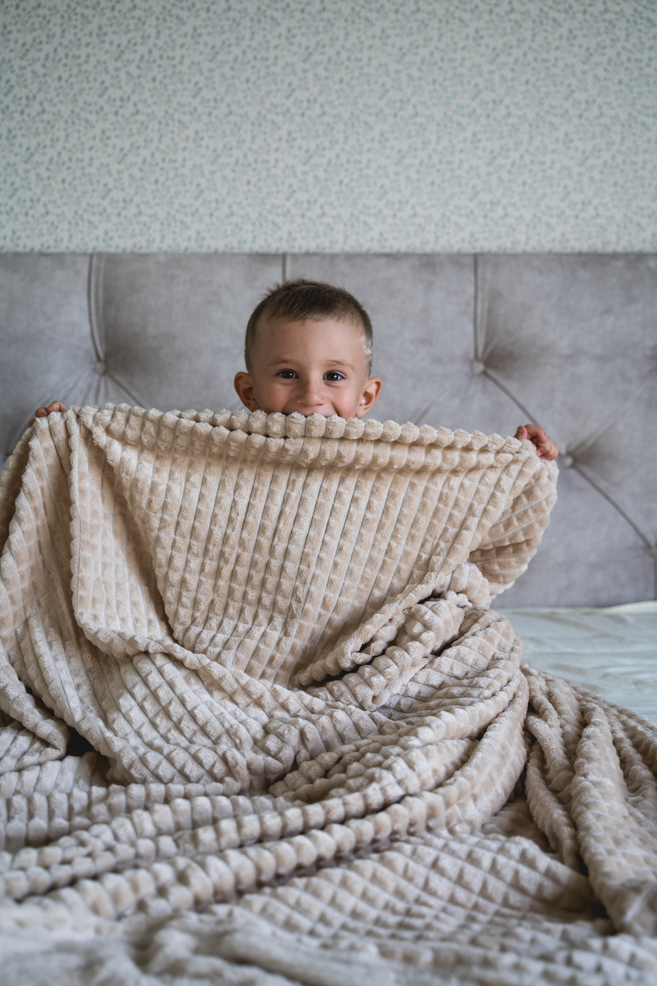 Пледный контент. Визуальный художник «Границы внутри»