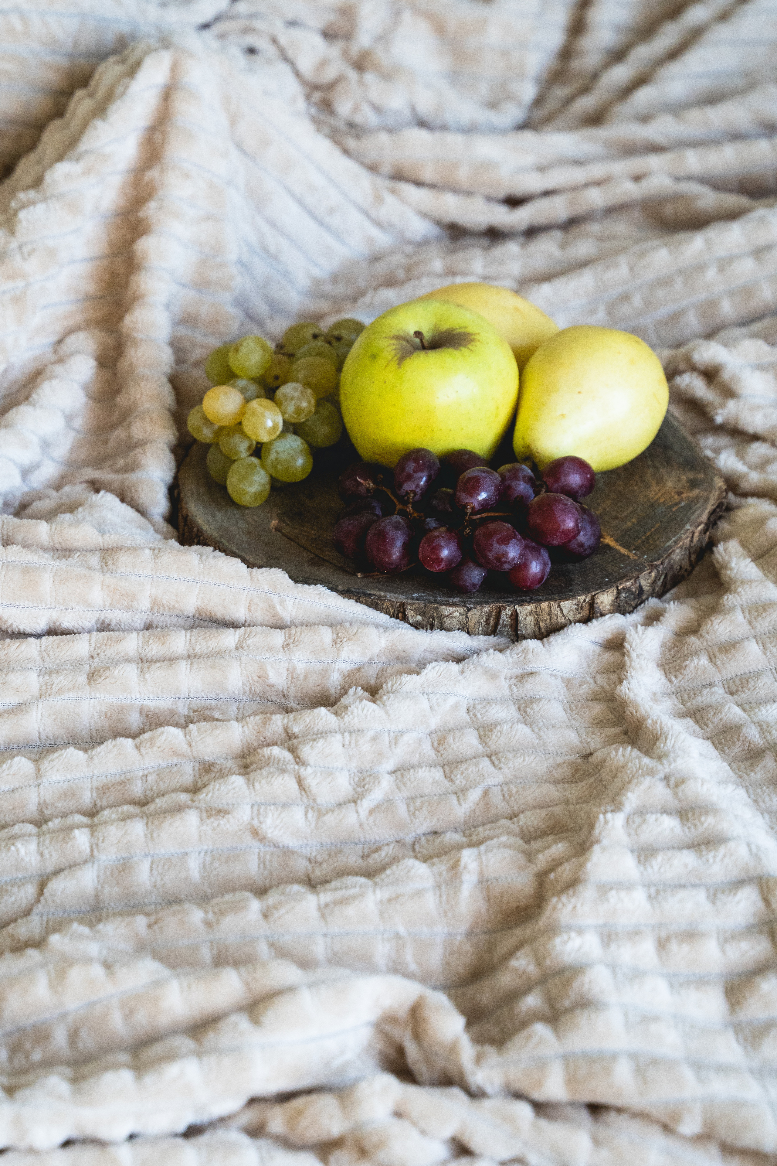 Пледный контент. Визуальный художник «Границы внутри»