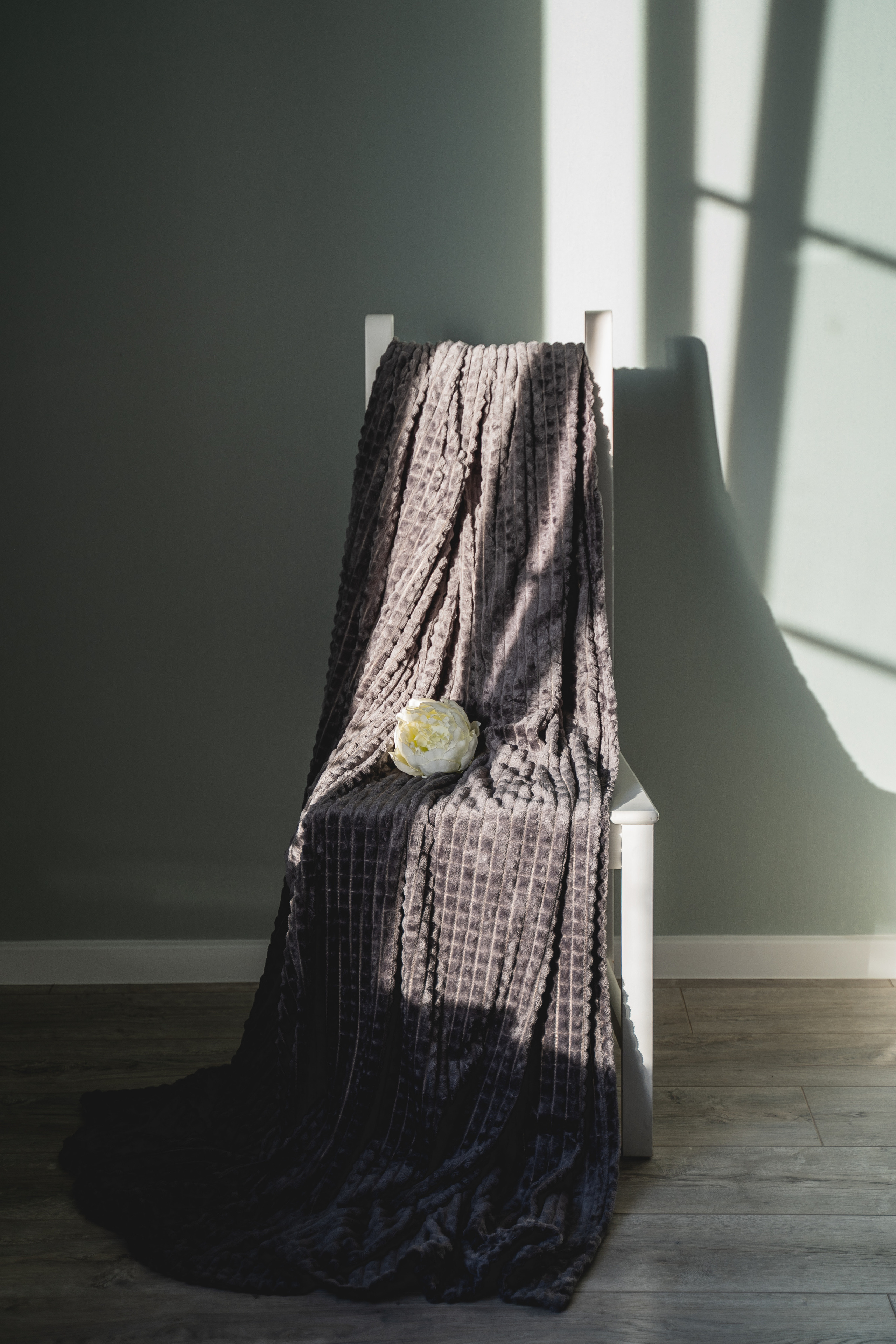 Пледный контент. Визуальный художник «Границы внутри»