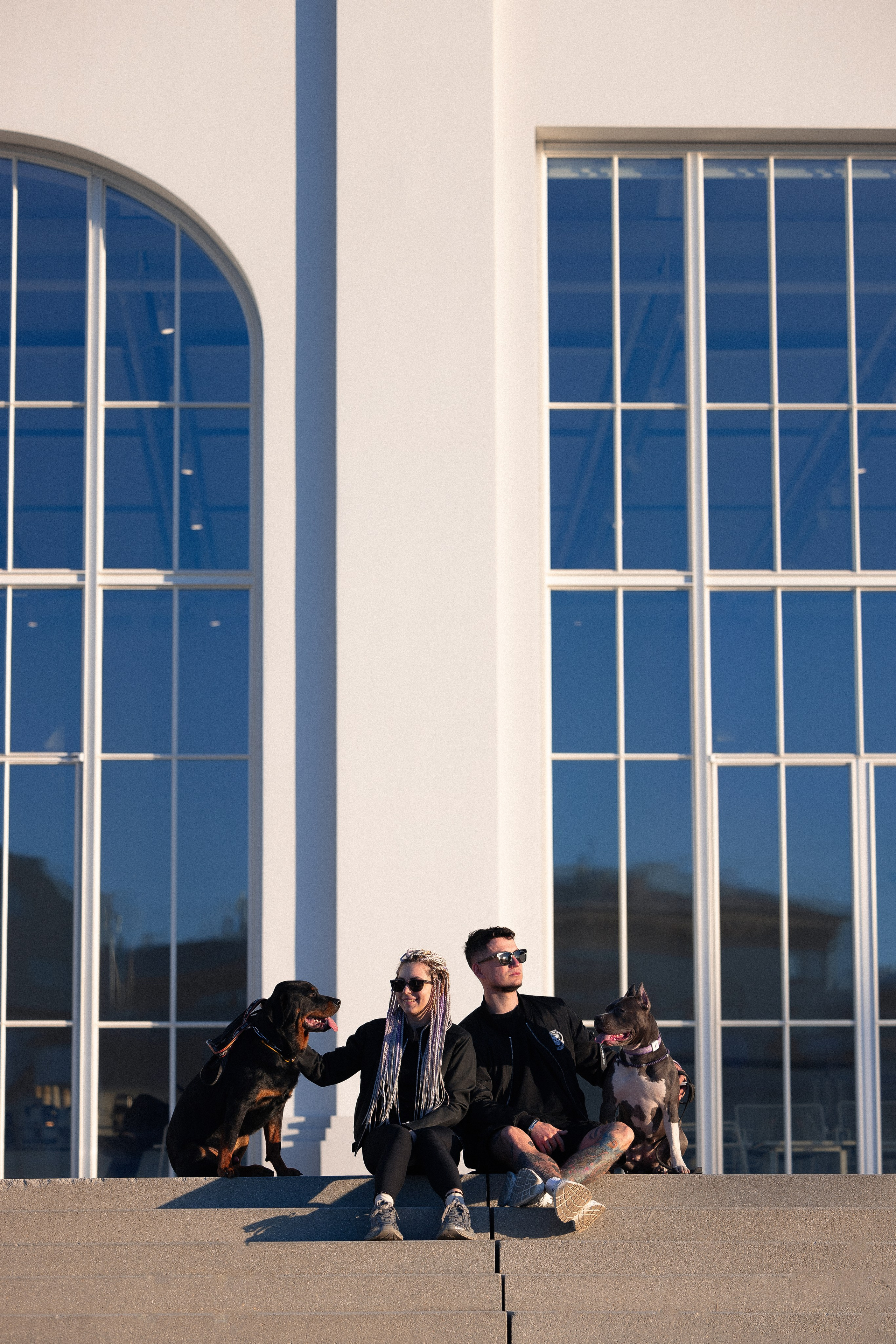 Катя, Леша, Трой и Лея. Фотограф и видеограф анималист Аганина Дарья