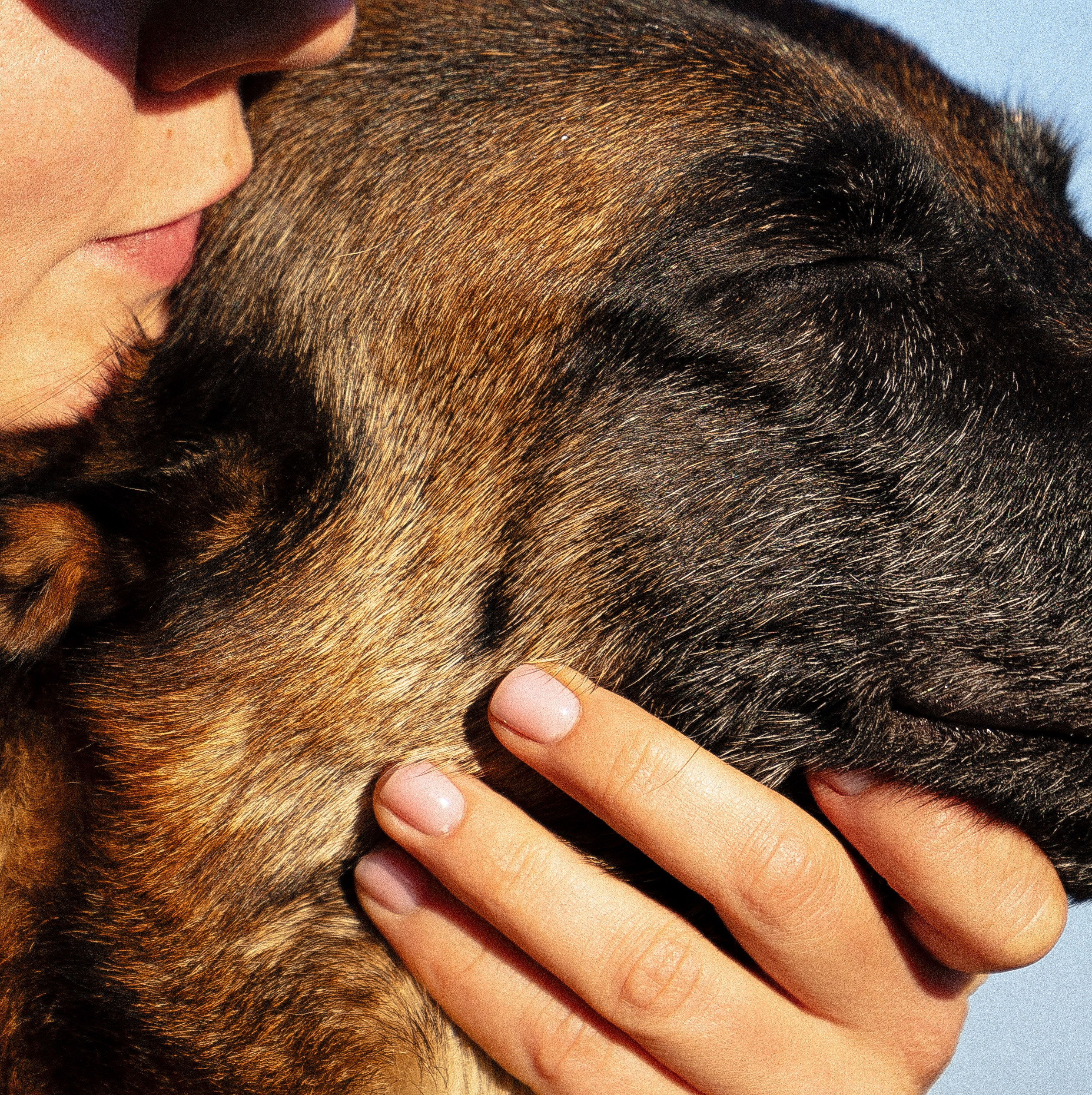 Женя, Афра и Молли. Фотограф и видеограф анималист Аганина Дарья