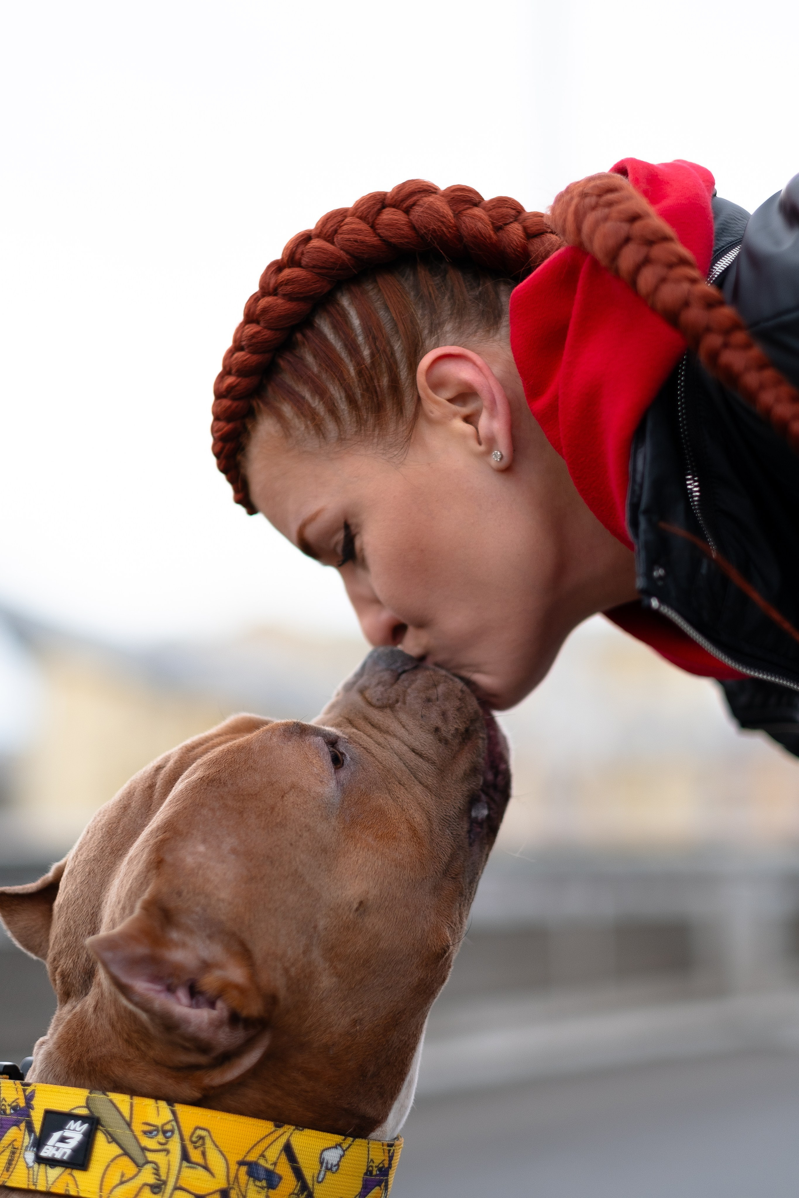 Спай и его семья. Фотограф и видеограф анималист Аганина Дарья