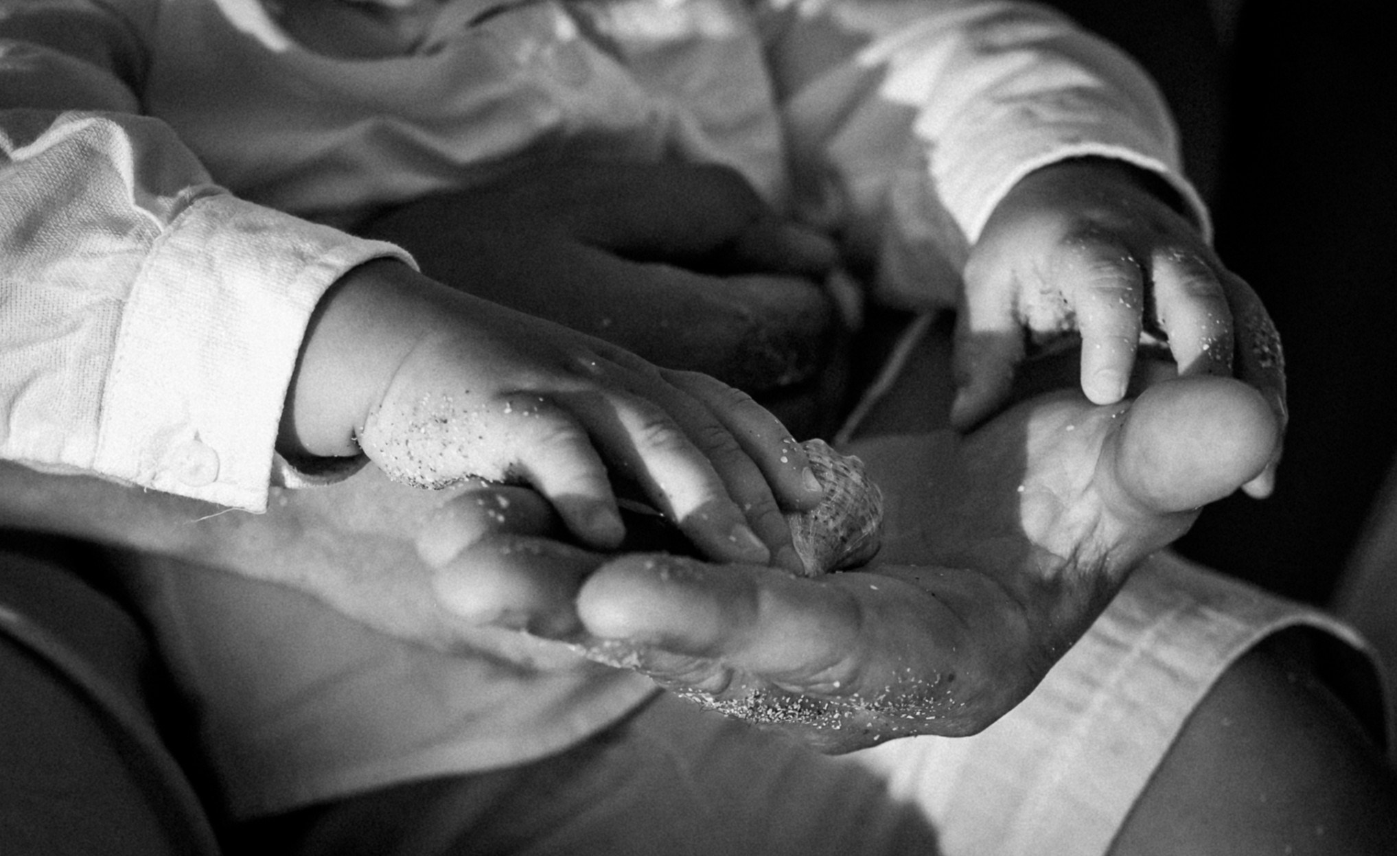 Семейная Каваци. Фотограф в Болгарии. Фотограф в Созополе