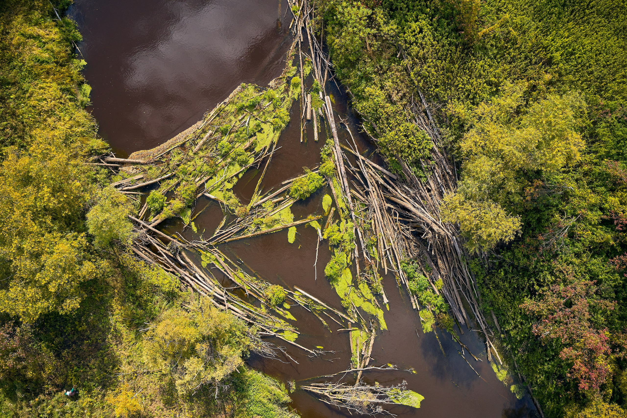 Съемка в полете. DMITRY MOISEENKO — фотограф, художник, топ-стилист