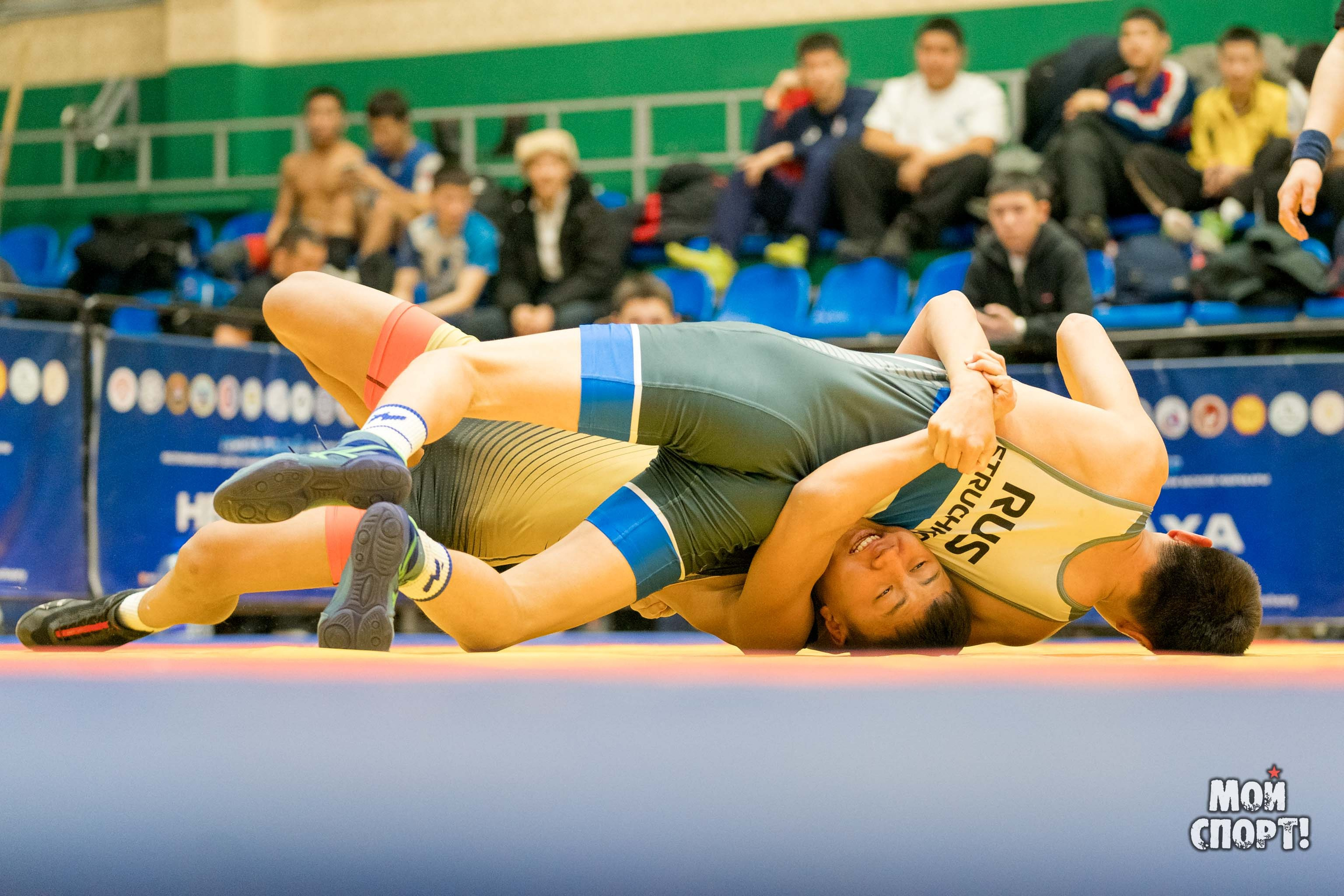 Первенство РС (Я) по греко-римской борьбе пам. Д. Г. Максимова. Студия «Мой Спорт!» — все о спорте в Якутии