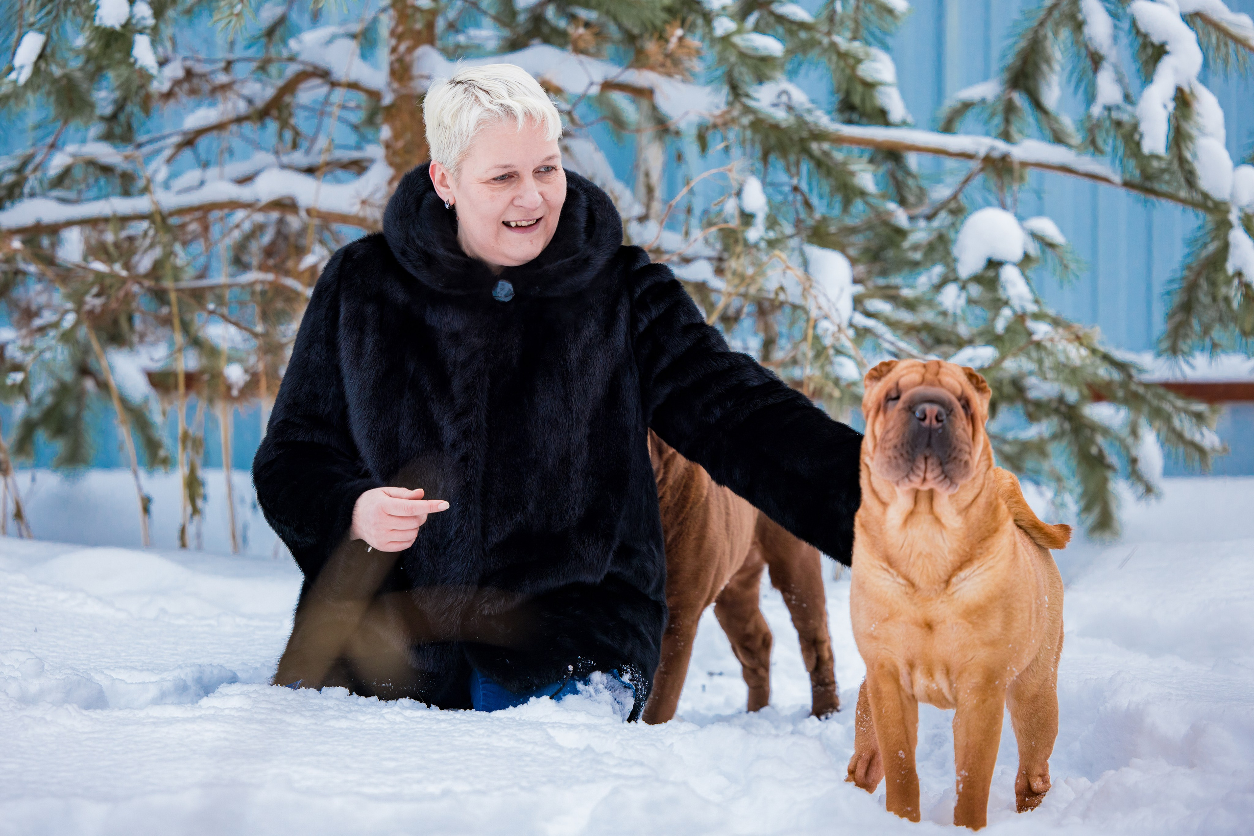 В гостях у шарпеев 16.01.2024. Фотограф-анималист Юлия Германика