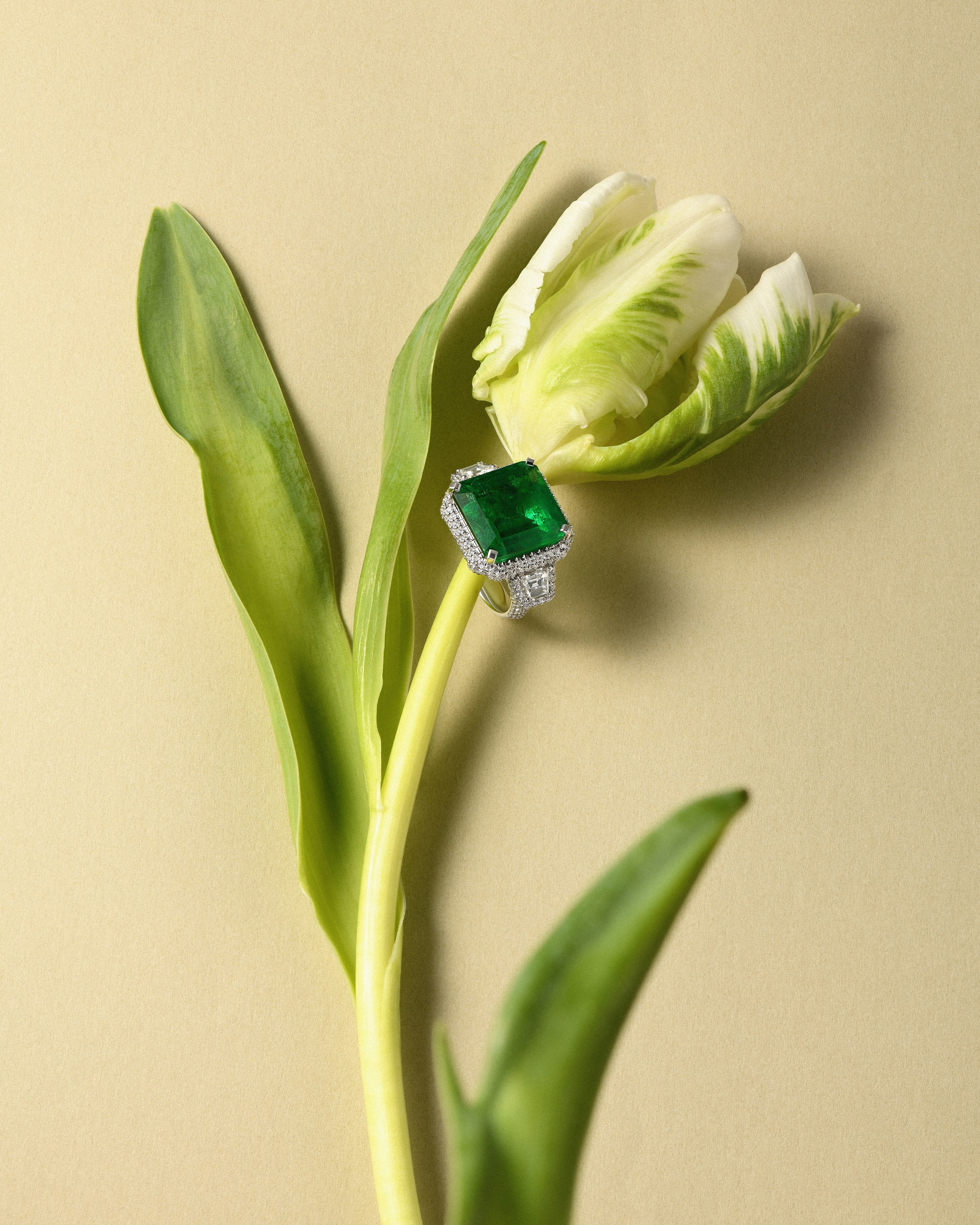 ювелирные фотографы