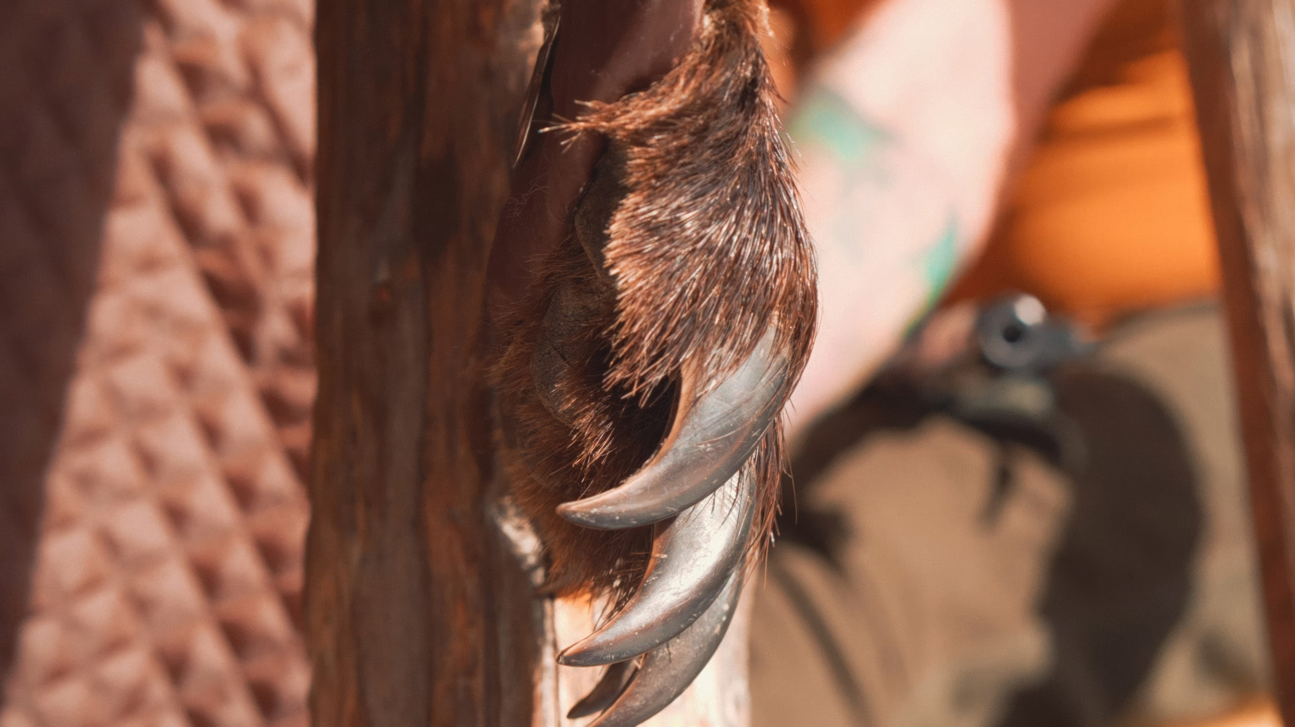Стоп-кадр Freeze frame. Видеограф и фотограф в Екатеринбурге Крисковец Дмитрий