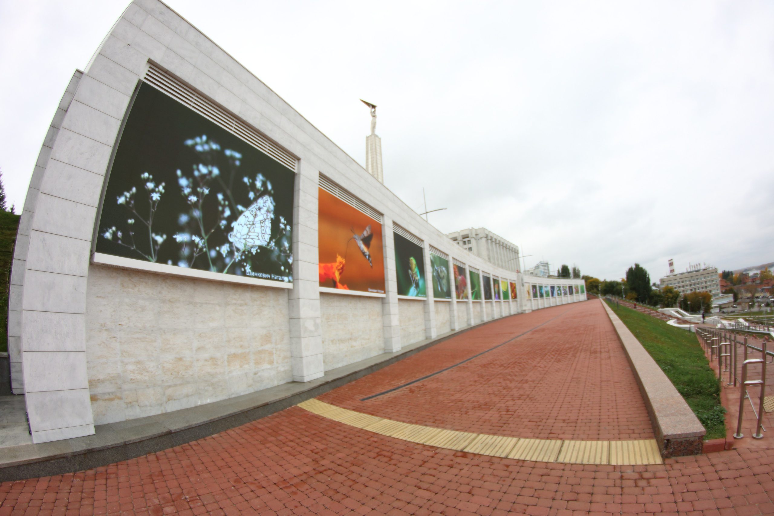 03.10.2021 Выставка «МакроМагия». Фотообъединение Самарского областного отделения Союза журналистов России