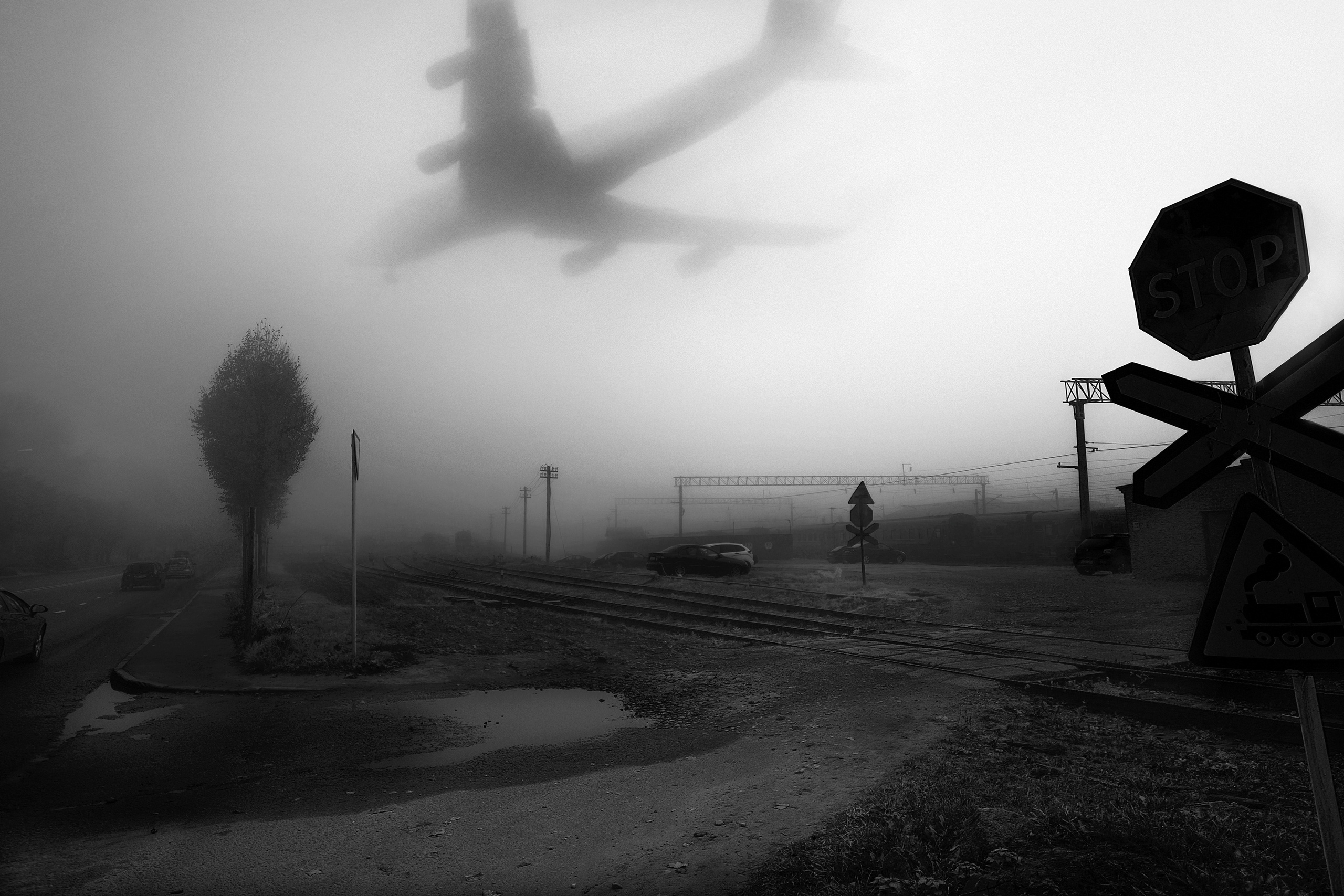 2021— Гран-при. Фотообъединение Самарского областного отделения Союза журналистов России