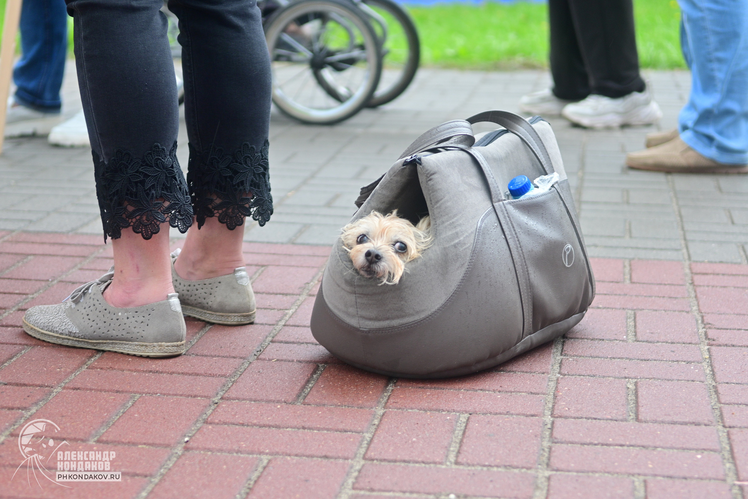 Съемка дня города Заволжск. Фотограф в Иваново: Каталожная съемка одежды и постельного белья, Wildberries