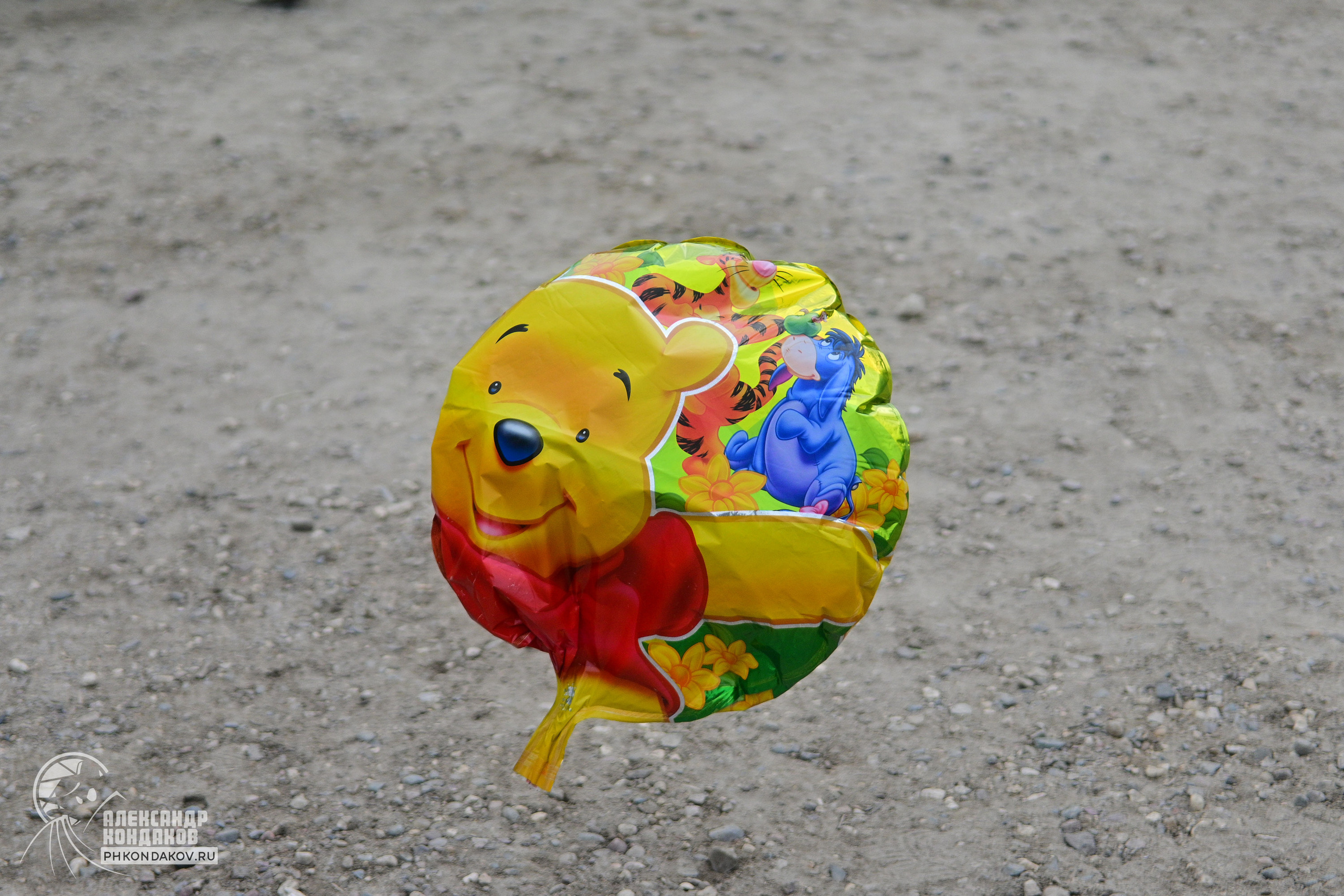 Съемка дня города Заволжск. Фотограф в Иваново: Каталожная съемка одежды и постельного белья, Wildberries