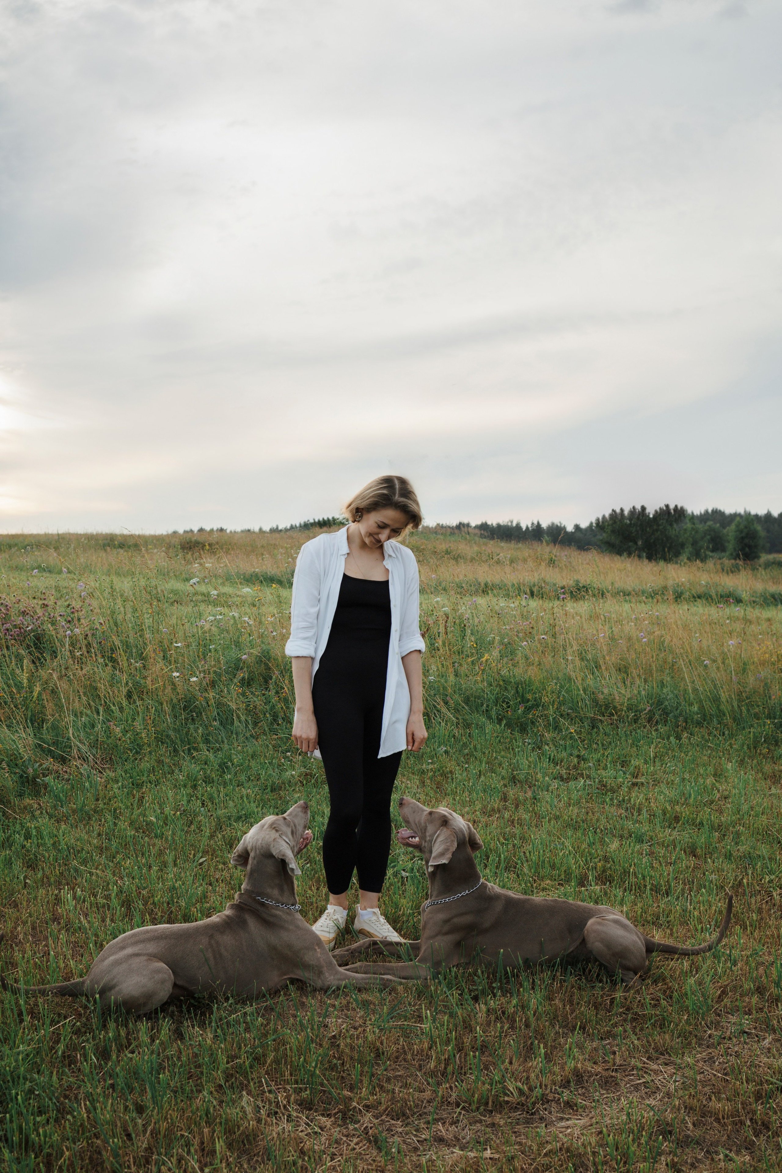 Маргарита и веймаранеры. Фотограф-анималист в Санкт-Петеребурге Титова Алиса