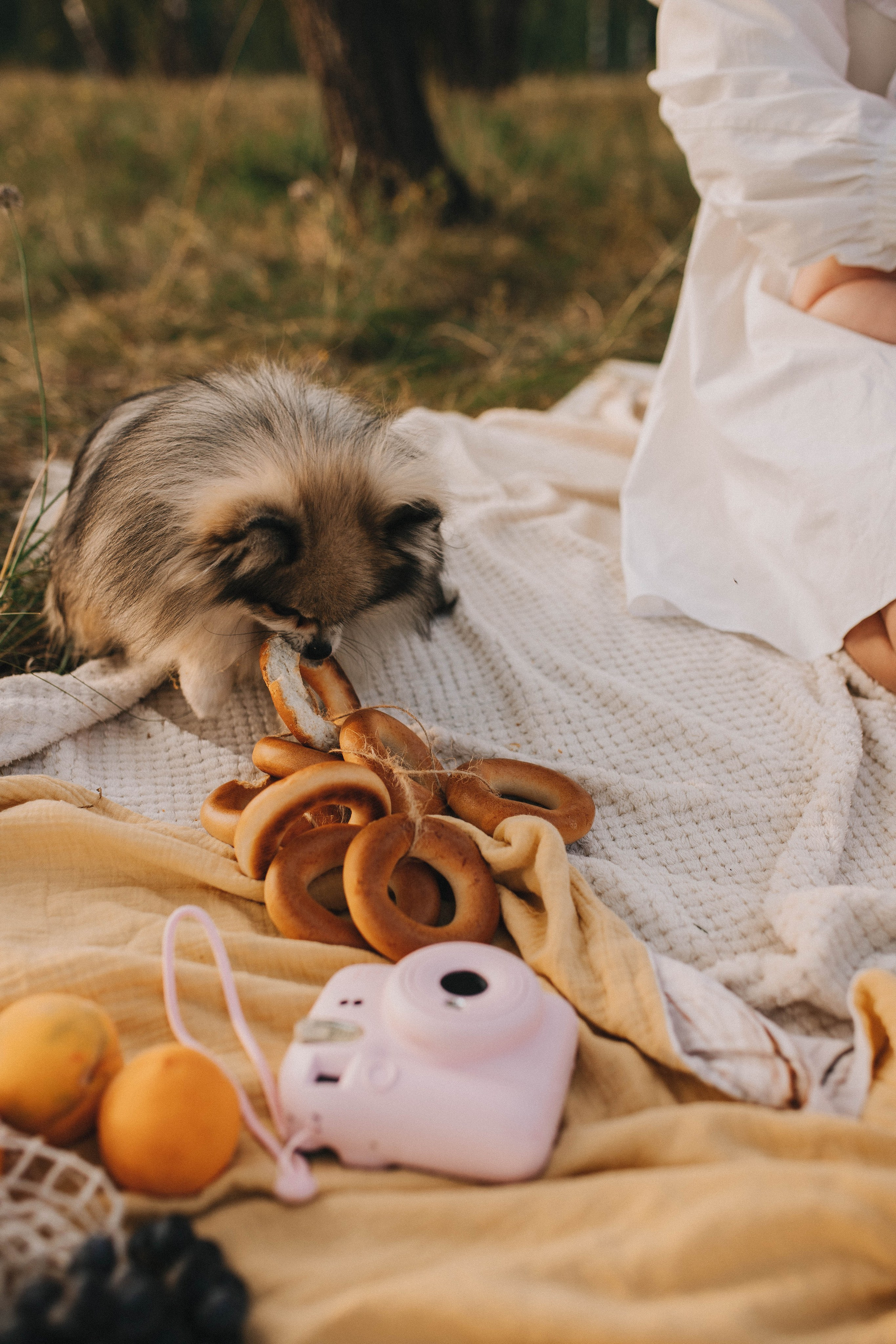 Семейный вечер в деревне. Свадебный фотограф Новосибирск